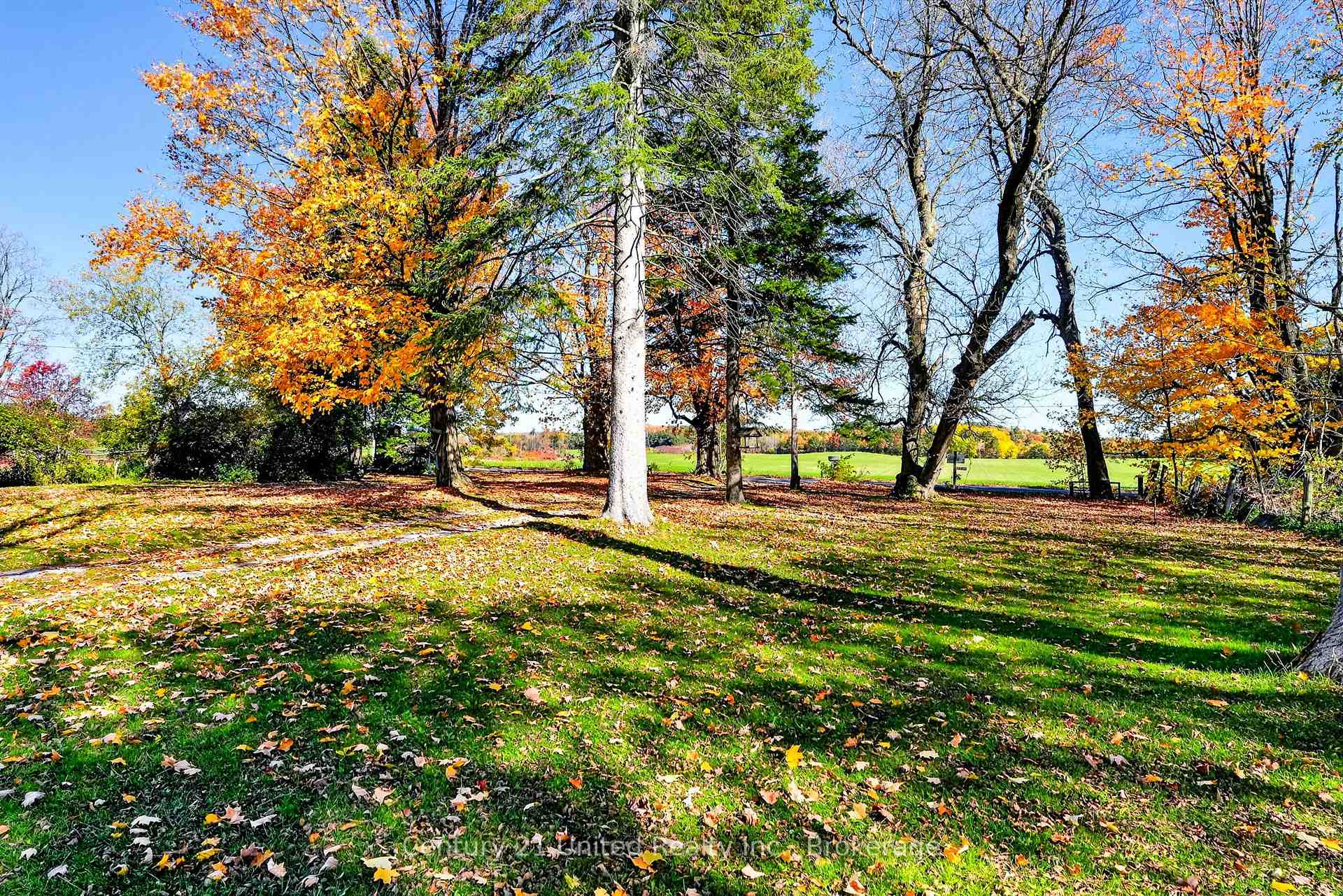 Photo 7 of 334 Silver Maple Road, Alnwick/Haldimand, Grafton — HOMEH