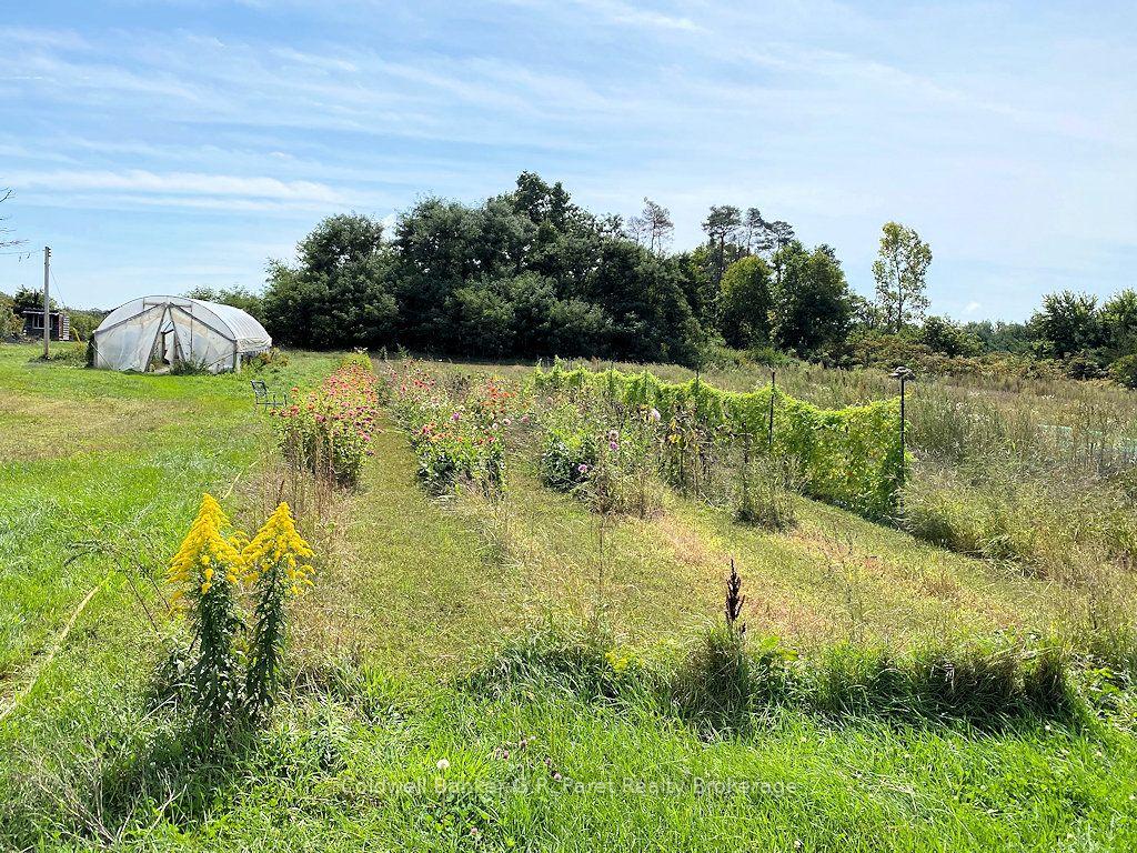Photo 9 of 722 6th Conc Road, Norfolk, Rural N. Walsingham — HOMEH