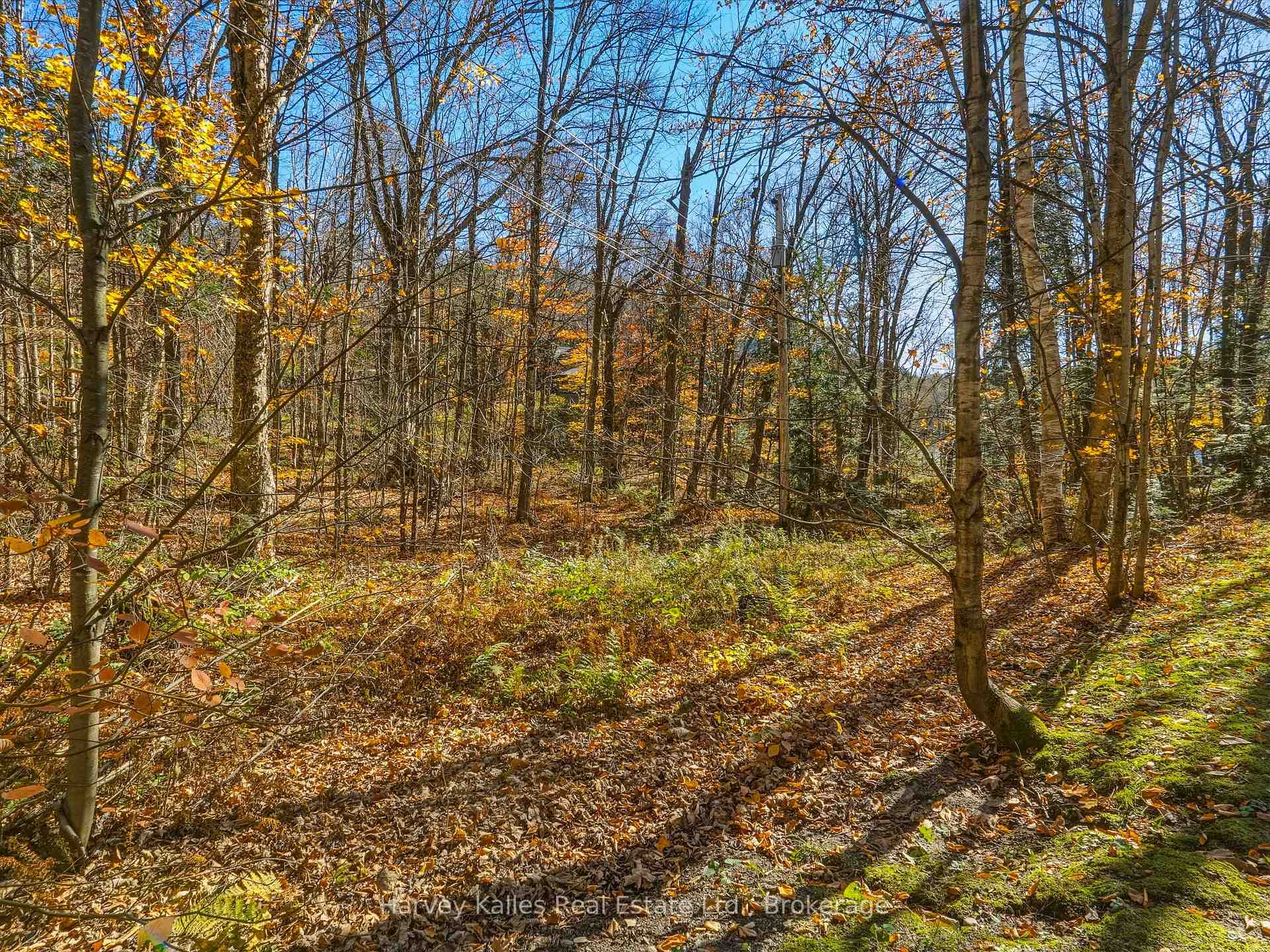 Photo 4 of Frau Lane, Bracebridge, Draper — HOMEH