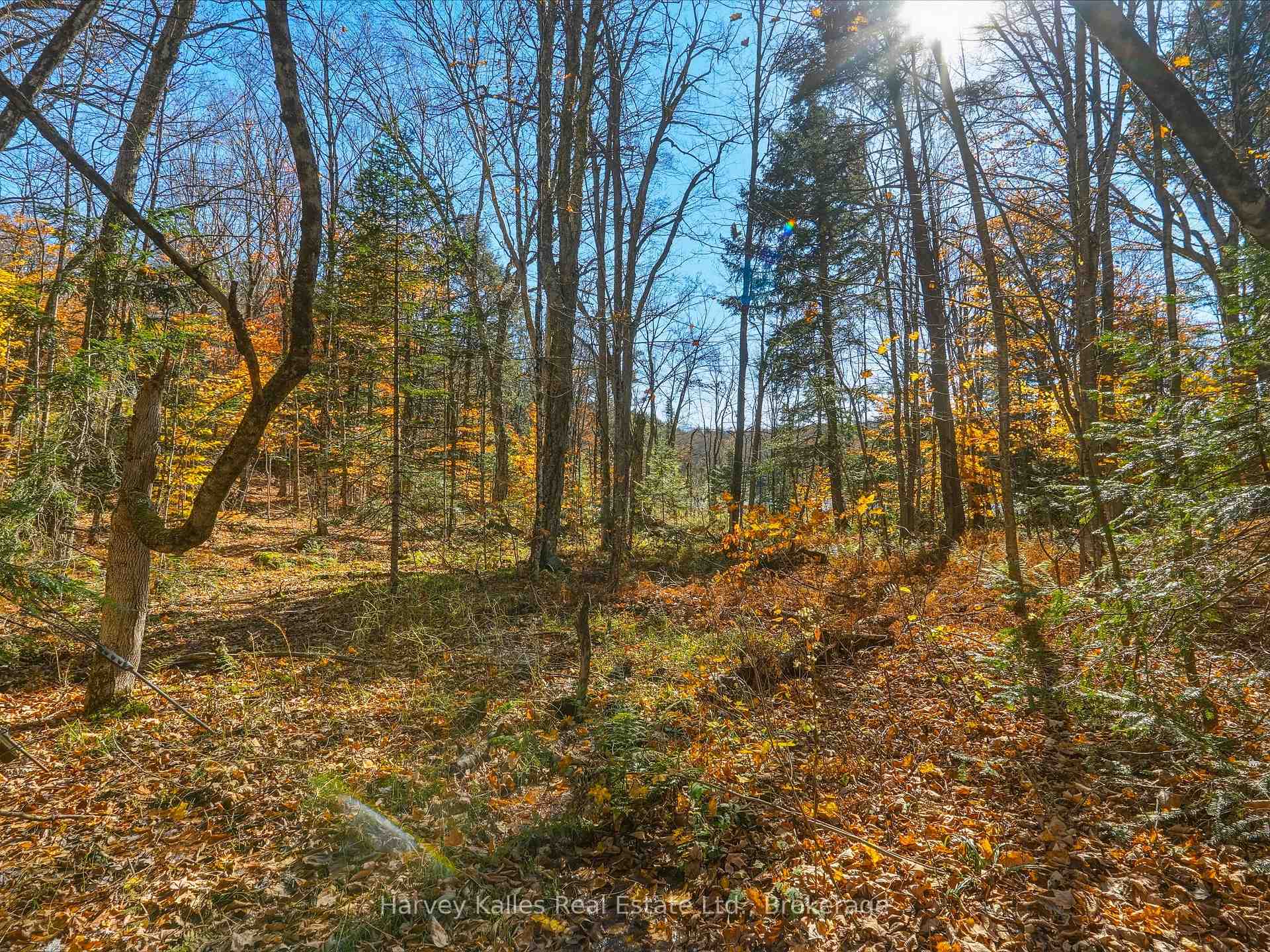 Photo 5 of Frau Lane, Bracebridge, Draper — HOMEH