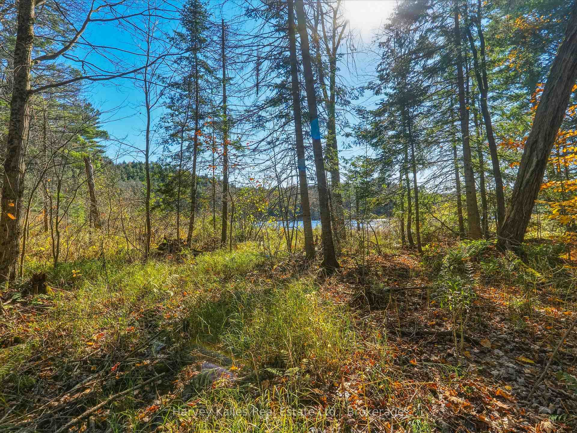 Photo 6 of Frau Lane, Bracebridge, Draper — HOMEH