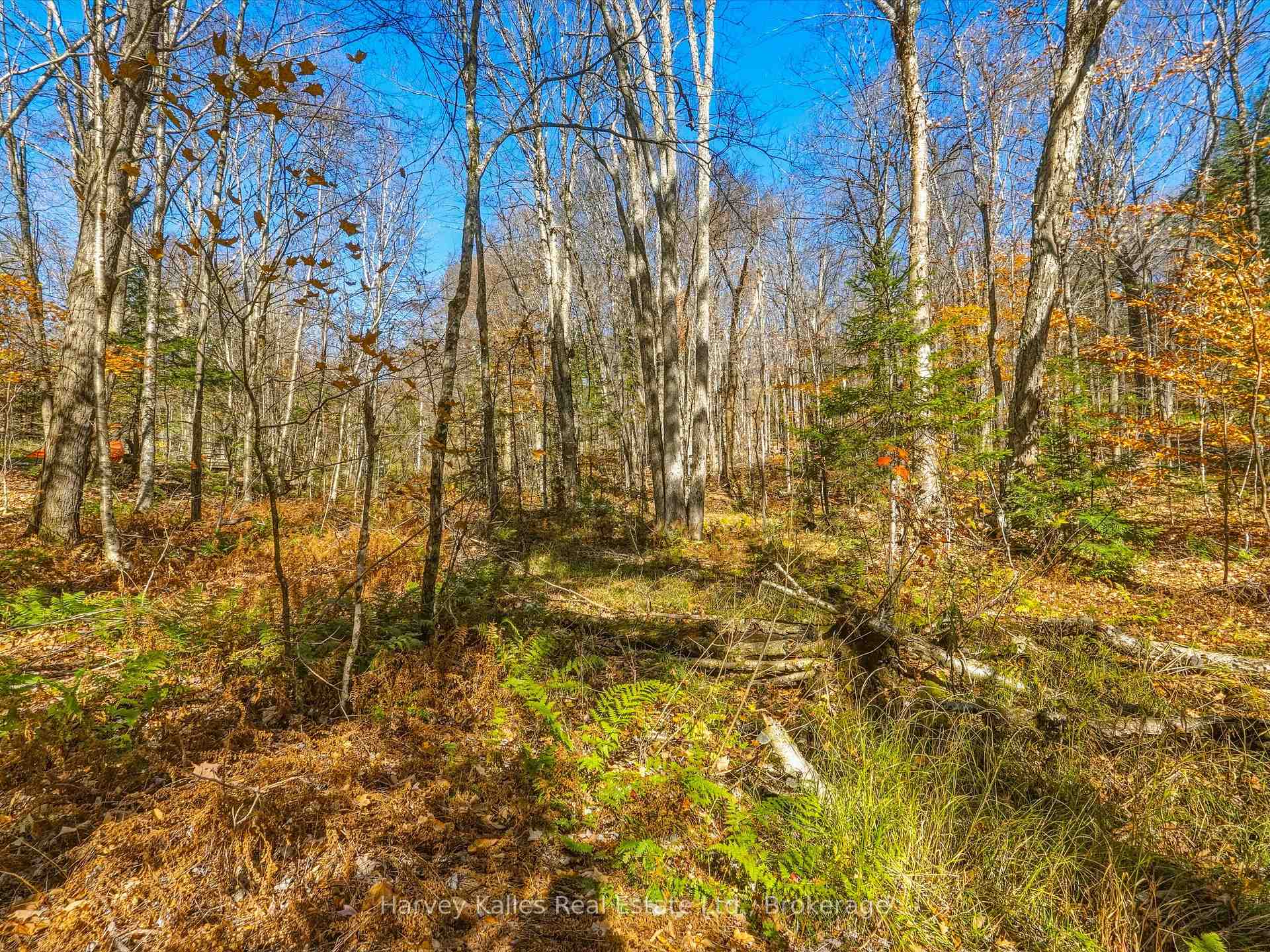 Photo 7 of Frau Lane, Bracebridge, Draper — HOMEH