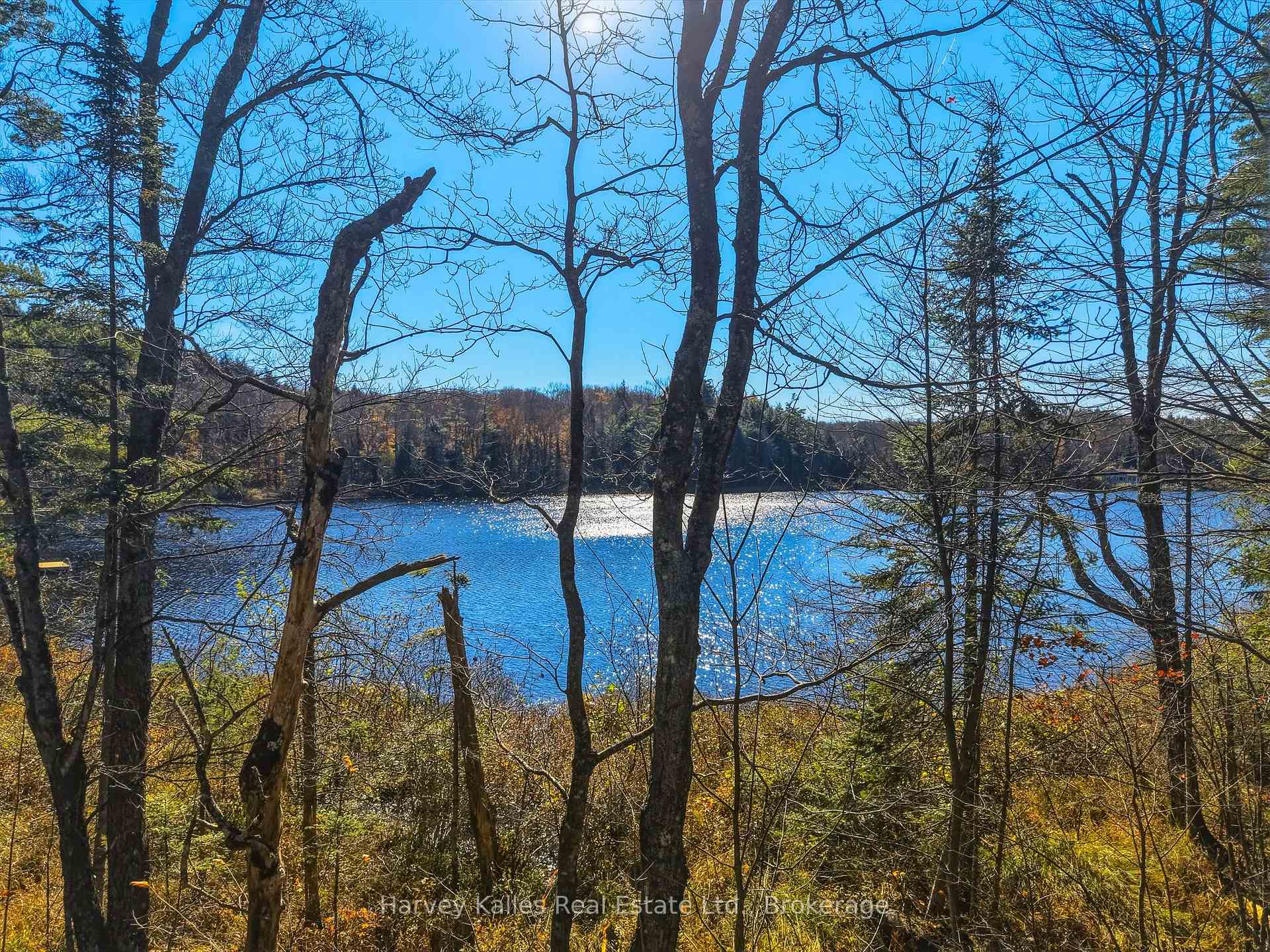 Photo 8 of Frau Lane, Bracebridge, Draper — HOMEH
