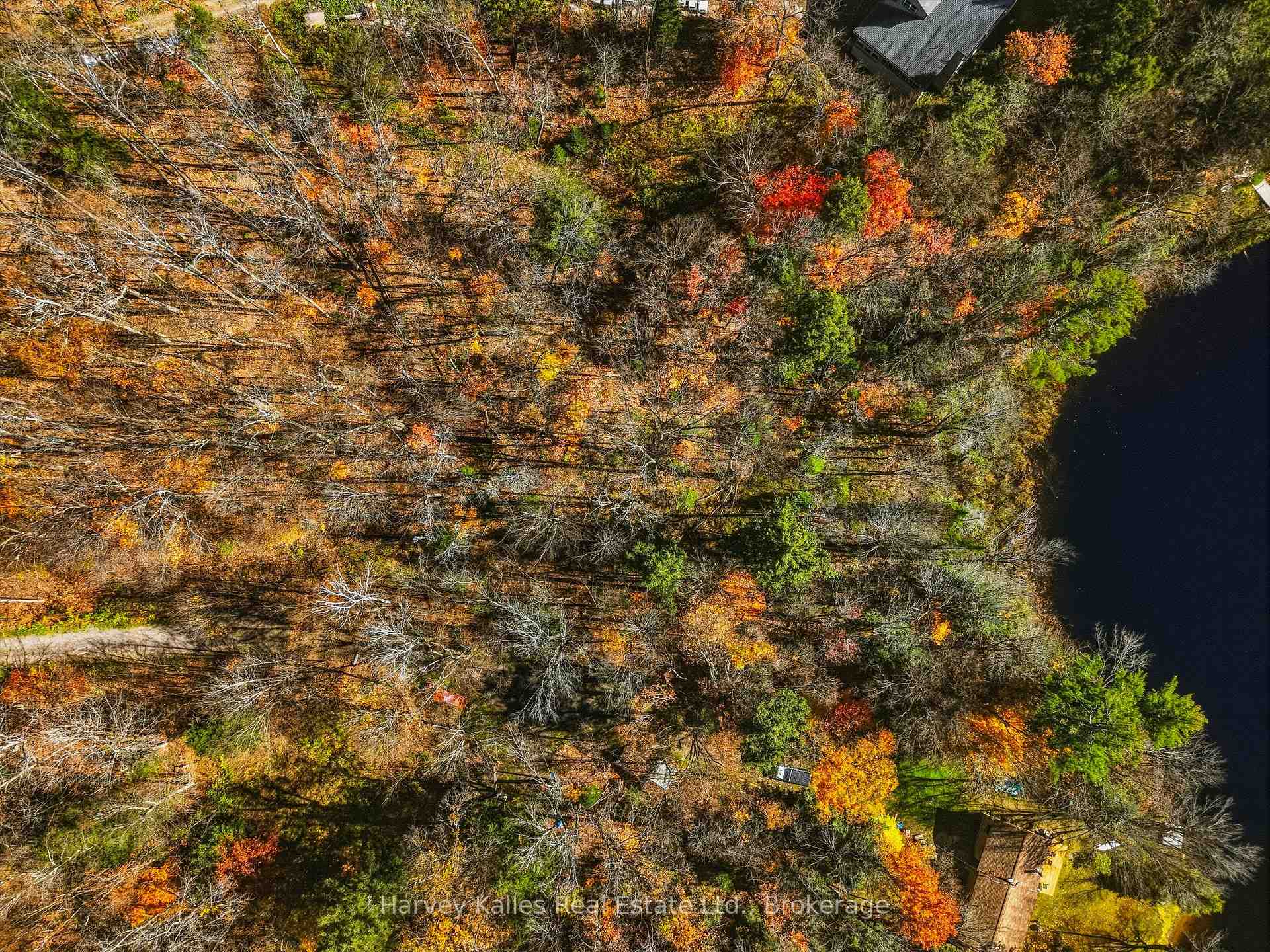Photo 9 of Frau Lane, Bracebridge, Draper — HOMEH
