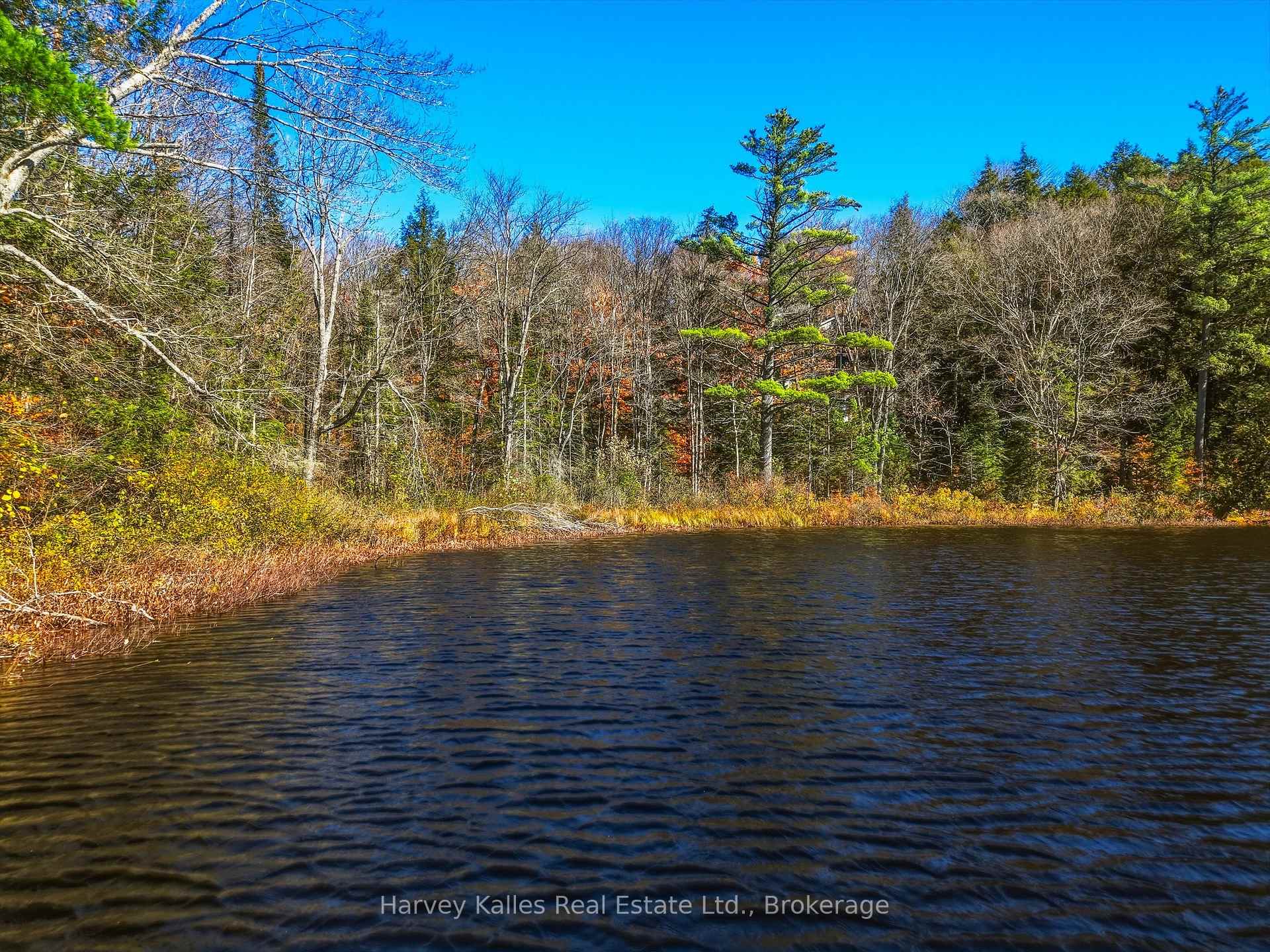 Photo 13 of Frau Lane, Bracebridge, Draper — HOMEH