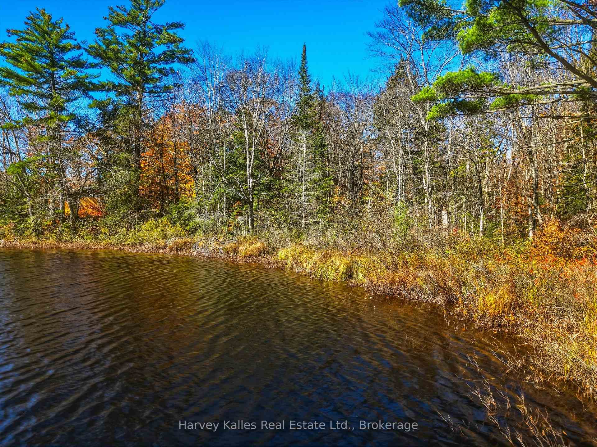 Photo 14 of Frau Lane, Bracebridge, Draper — HOMEH