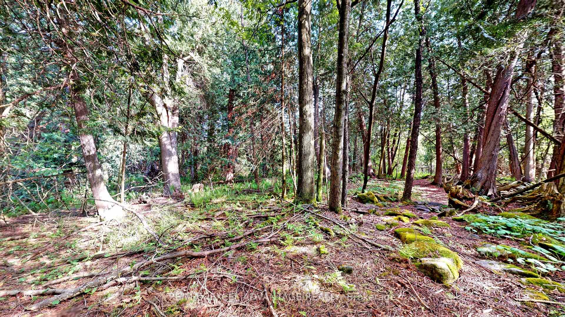 Photo 34 of 44 Edgewood Road, Guelph/Eramosa, Eden Mills — HOMEH