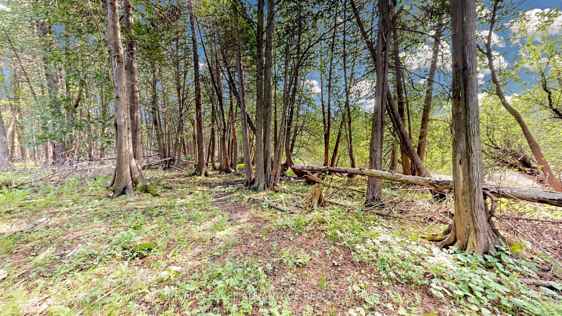 Photo 36 of 44 Edgewood Road, Guelph/Eramosa, Eden Mills — HOMEH