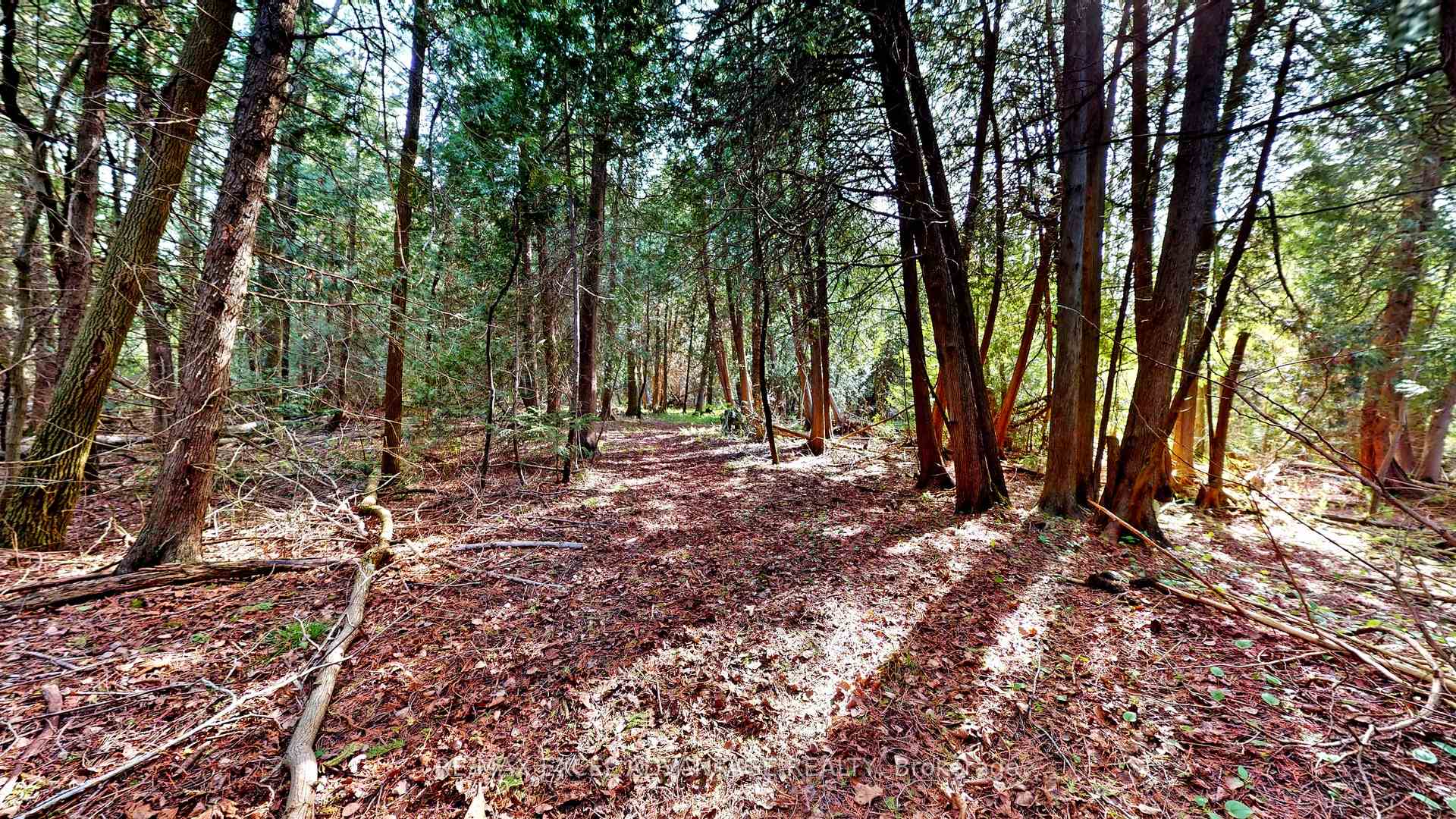 Photo 37 of 44 Edgewood Road, Guelph/Eramosa, Eden Mills — HOMEH