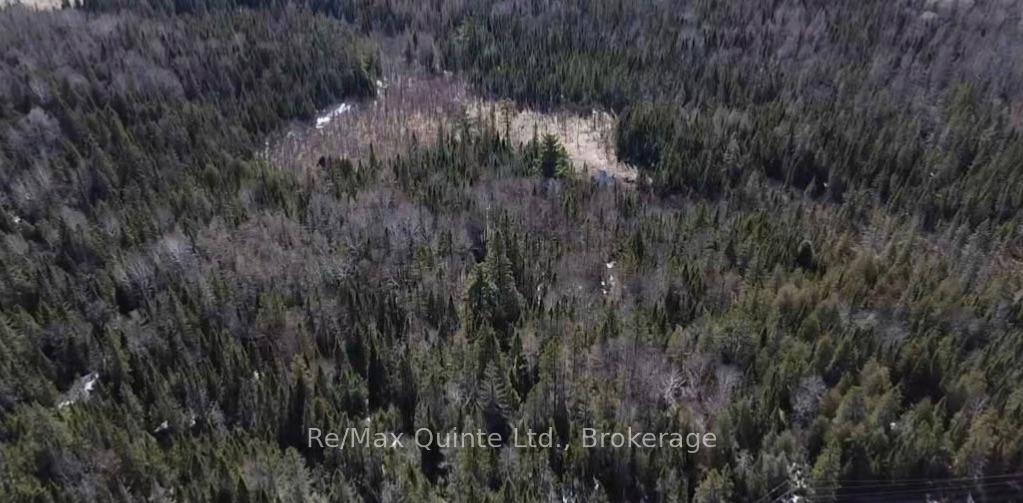 Photo 2 of Highway 62, Hastings Highlands, Herschel Ward — HOMEH