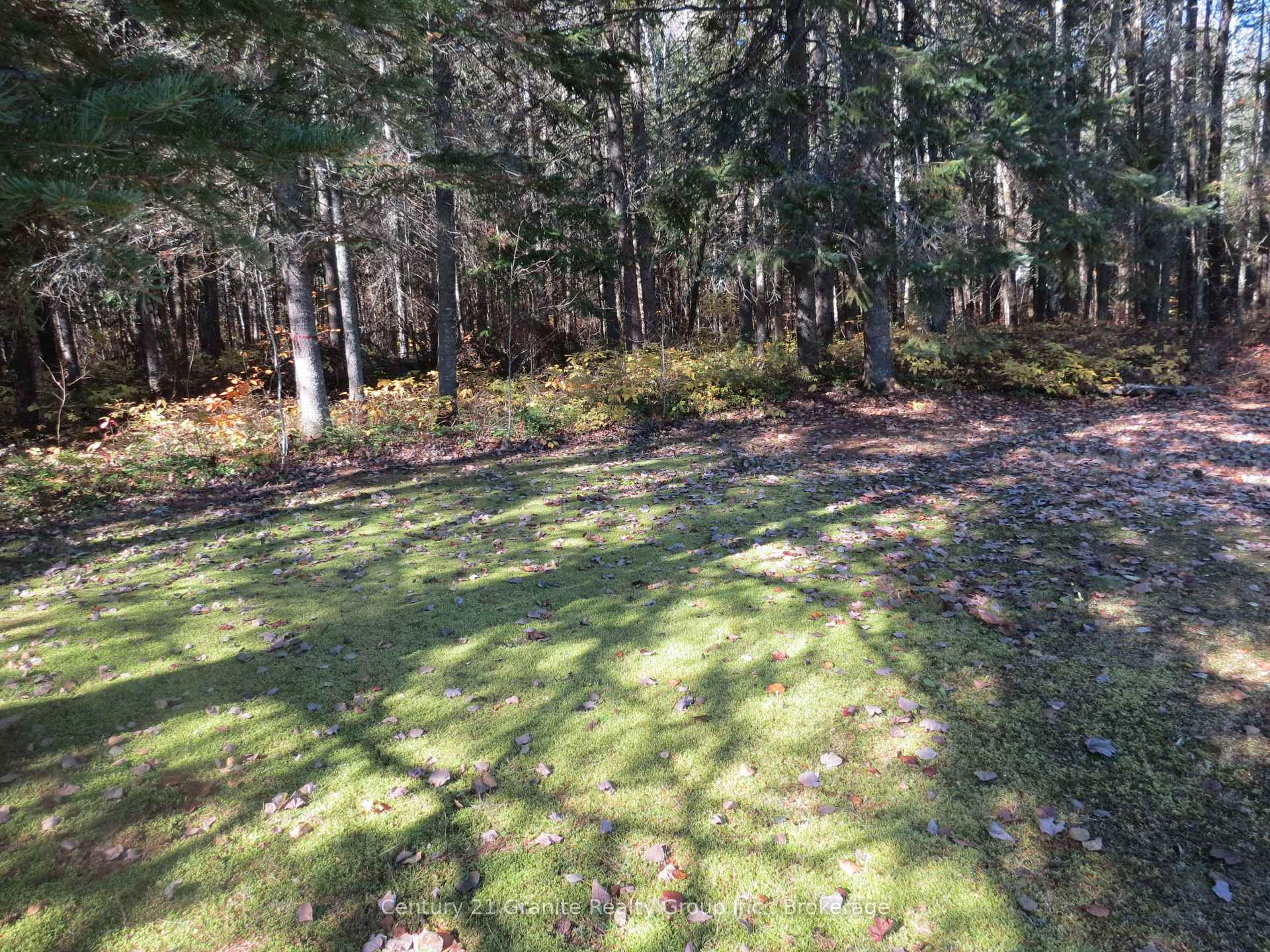 Photo 22 of 1084 Algonquin Road, Dysart et al, Harcourt — HOMEH