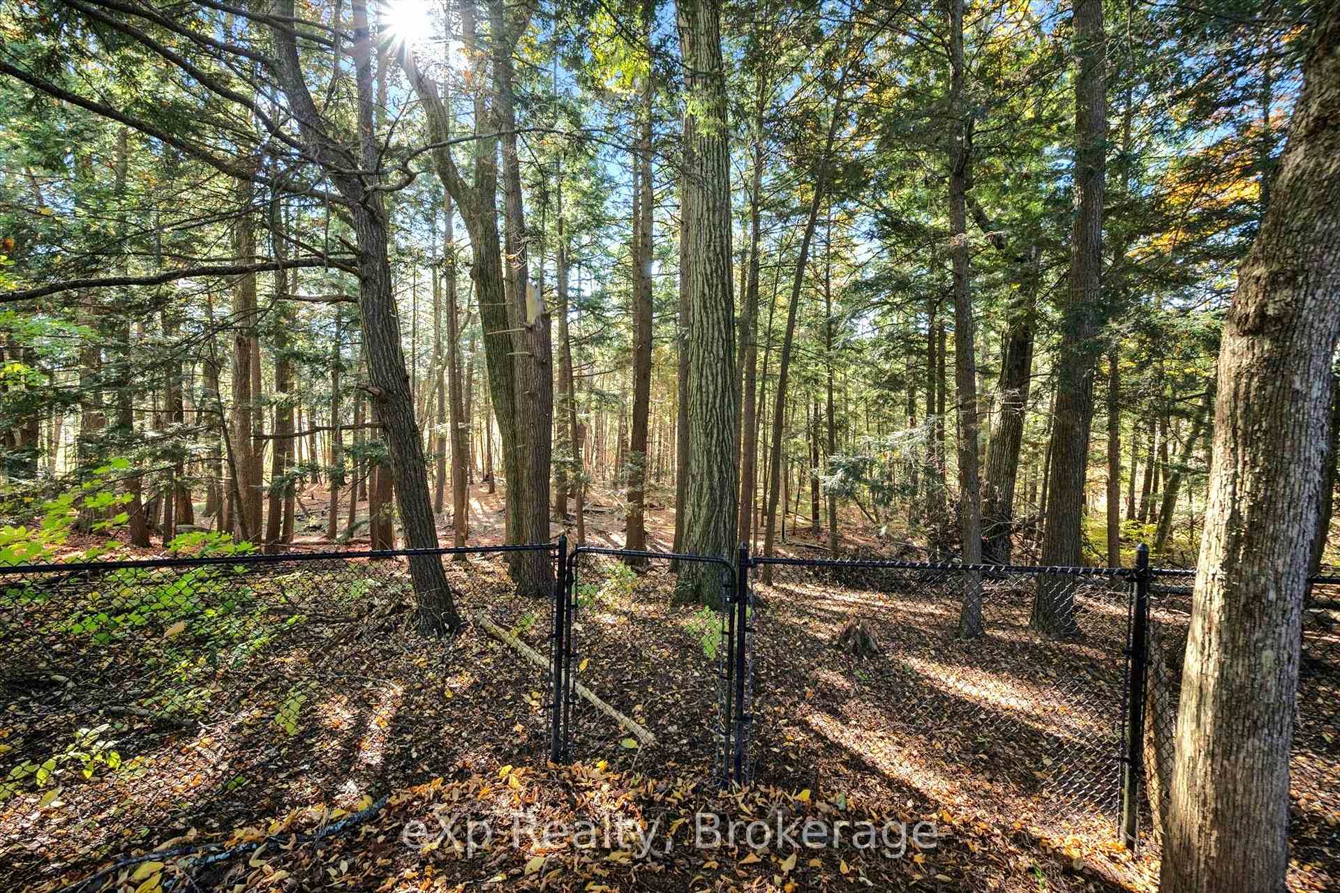 Photo 6 of 81 Sabrina Crescent, Kitchener, Brigadoon — HOMEH