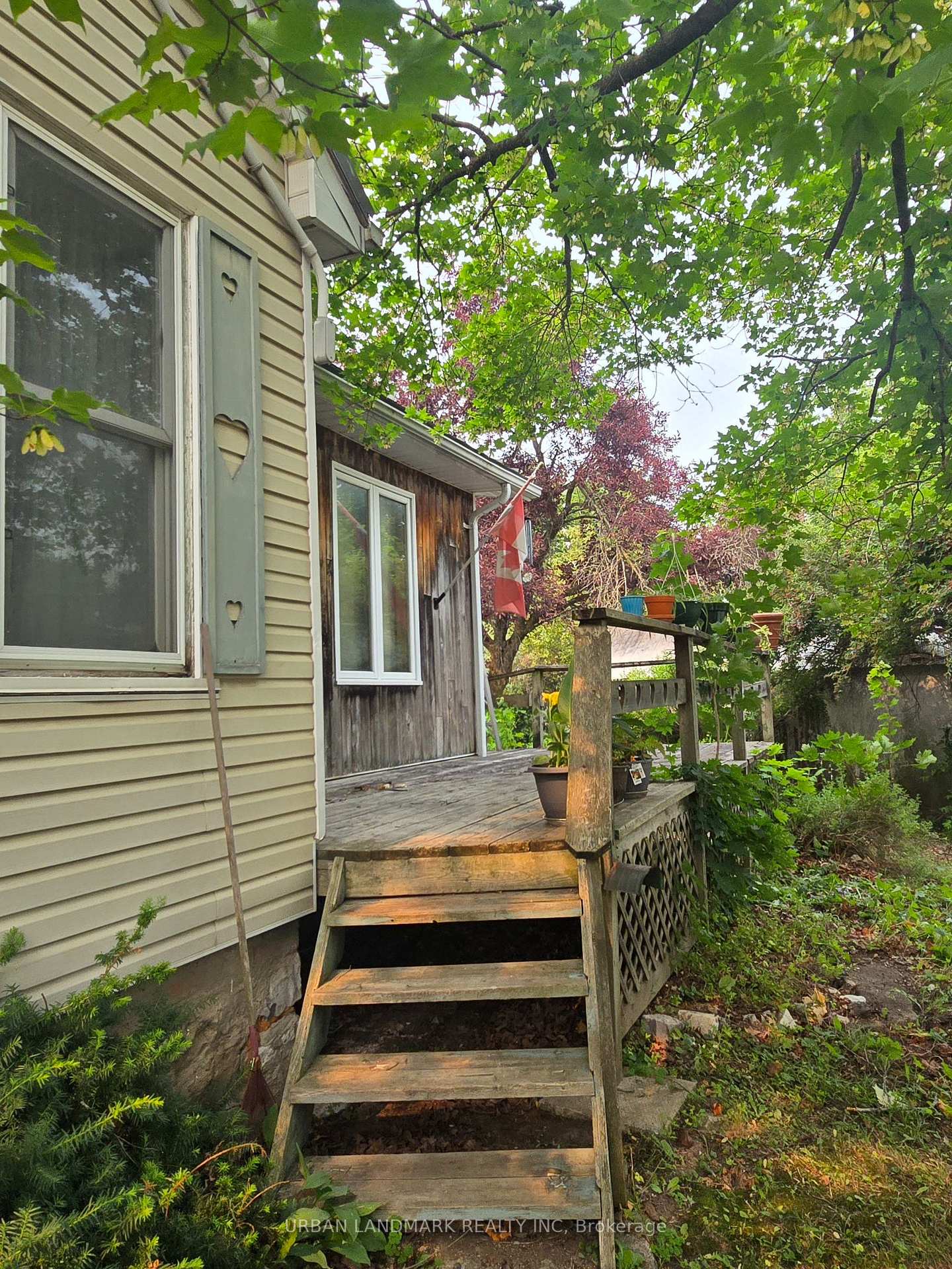 Photo 5 of 55 Nelson Street, Centre Hastings — HOMEH