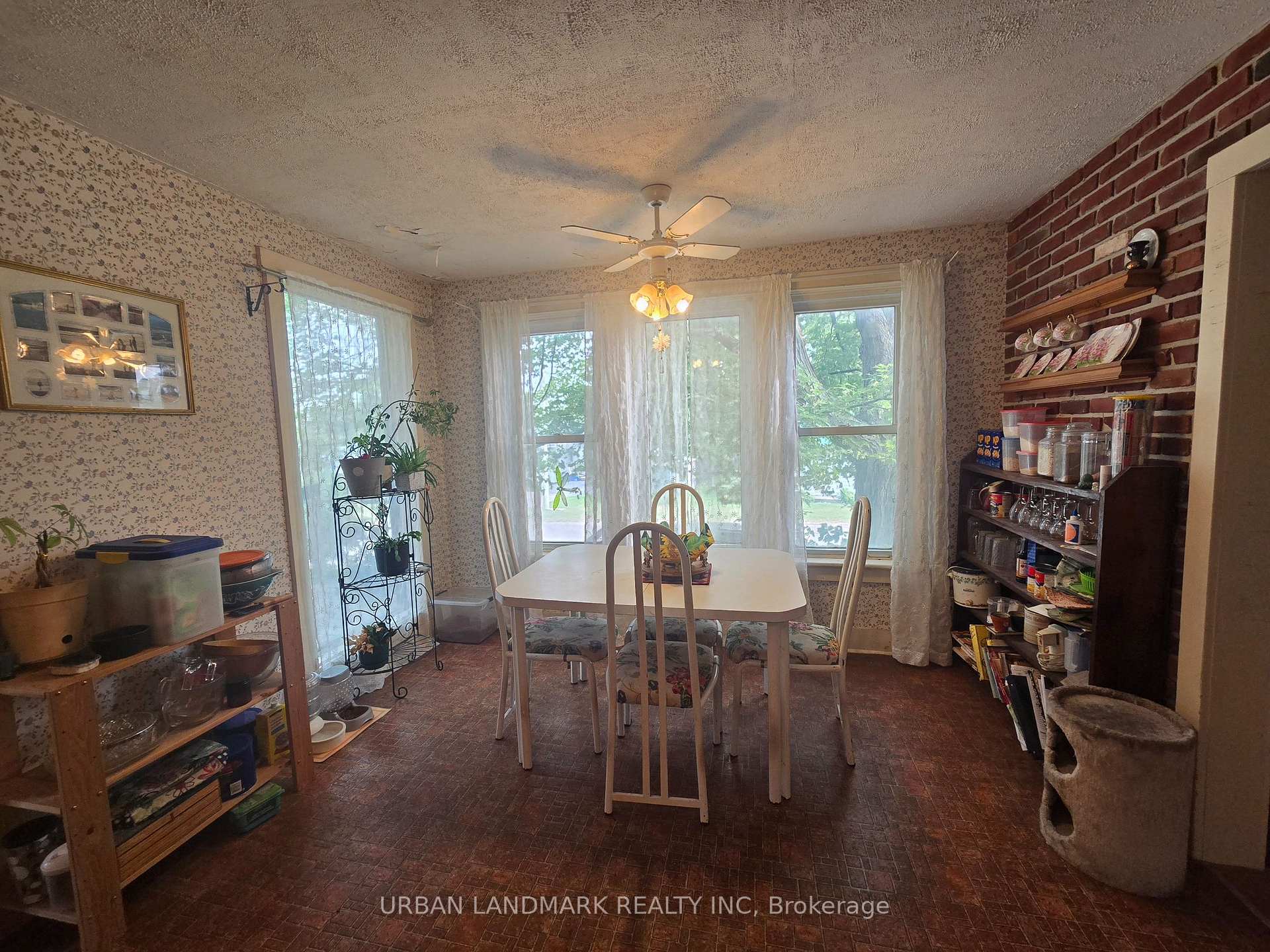 Photo 18 of 55 Nelson Street, Centre Hastings — HOMEH