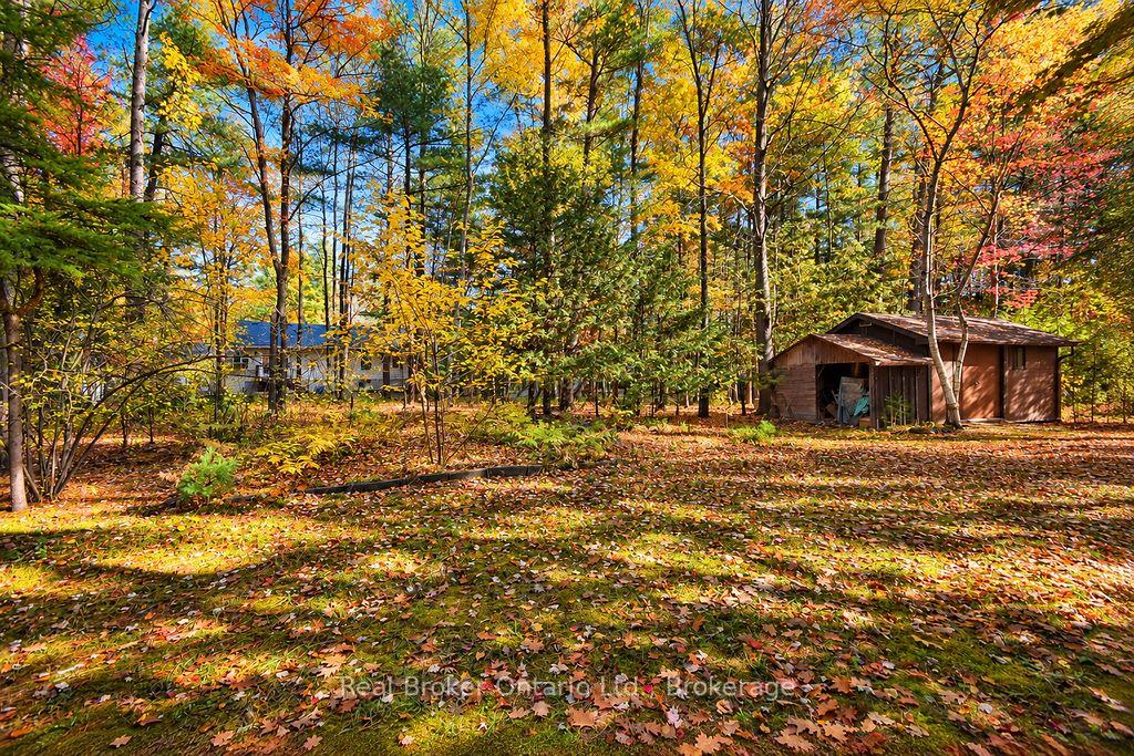 Photo 5 of 38 Deanlea Boulevard, Tiny, Rural Tiny — HOMEH