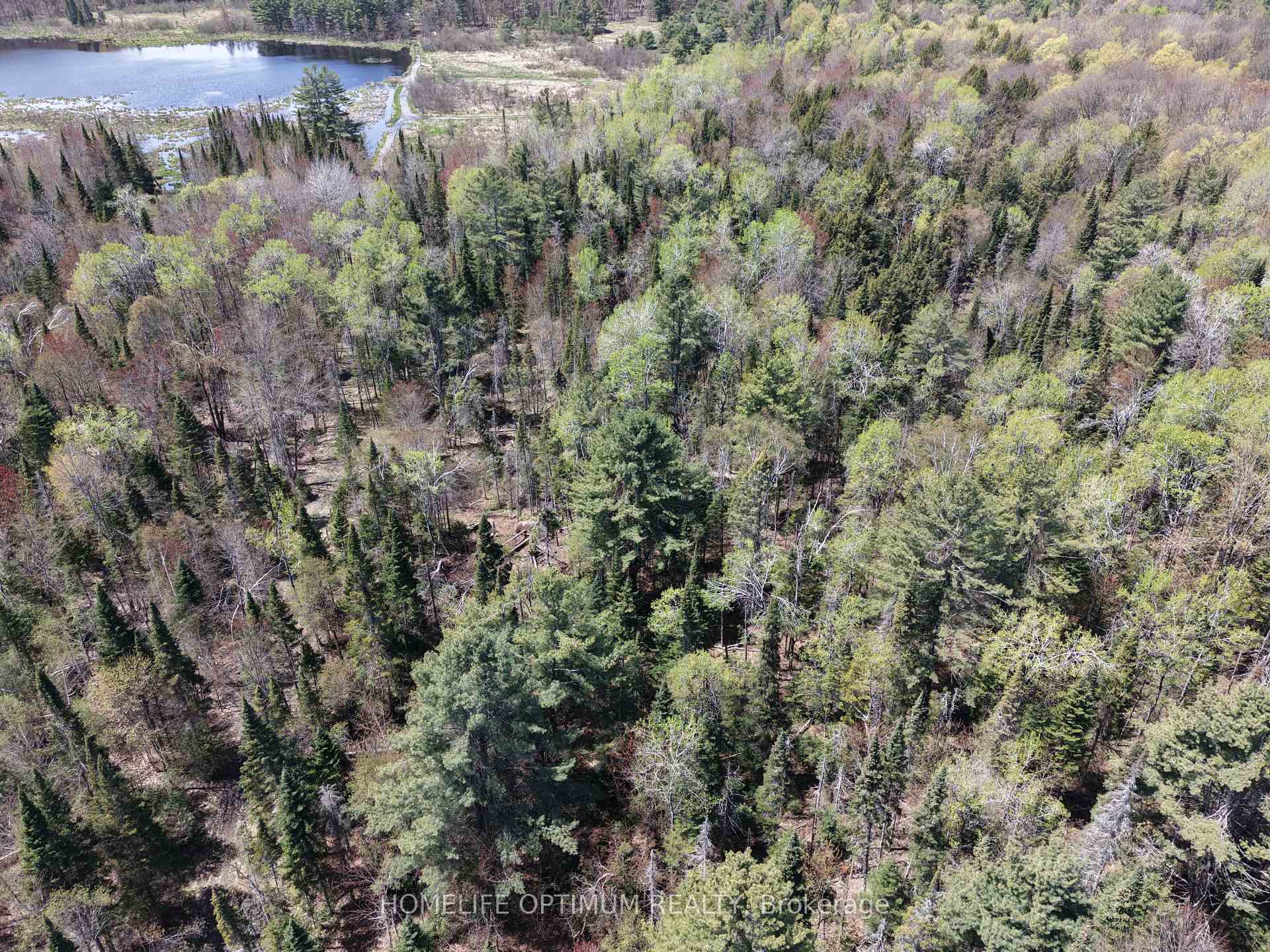 Photo 3 of PT LT 4-5 CON 13 Henry Road, Bracebridge, Muskoka (N) — HOMEH