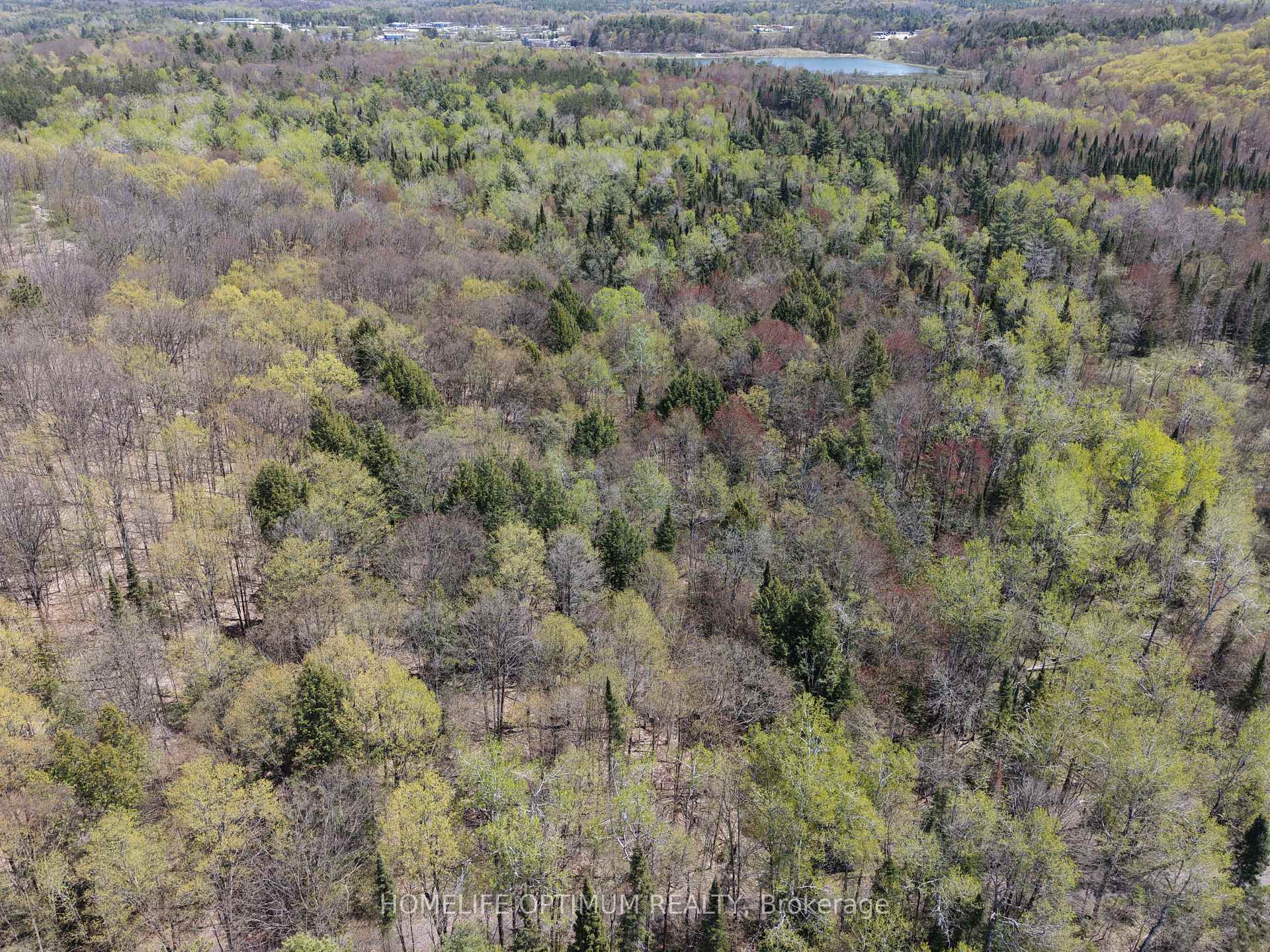 Photo 6 of PT LT 4-5 CON 13 Henry Road, Bracebridge, Muskoka (N) — HOMEH