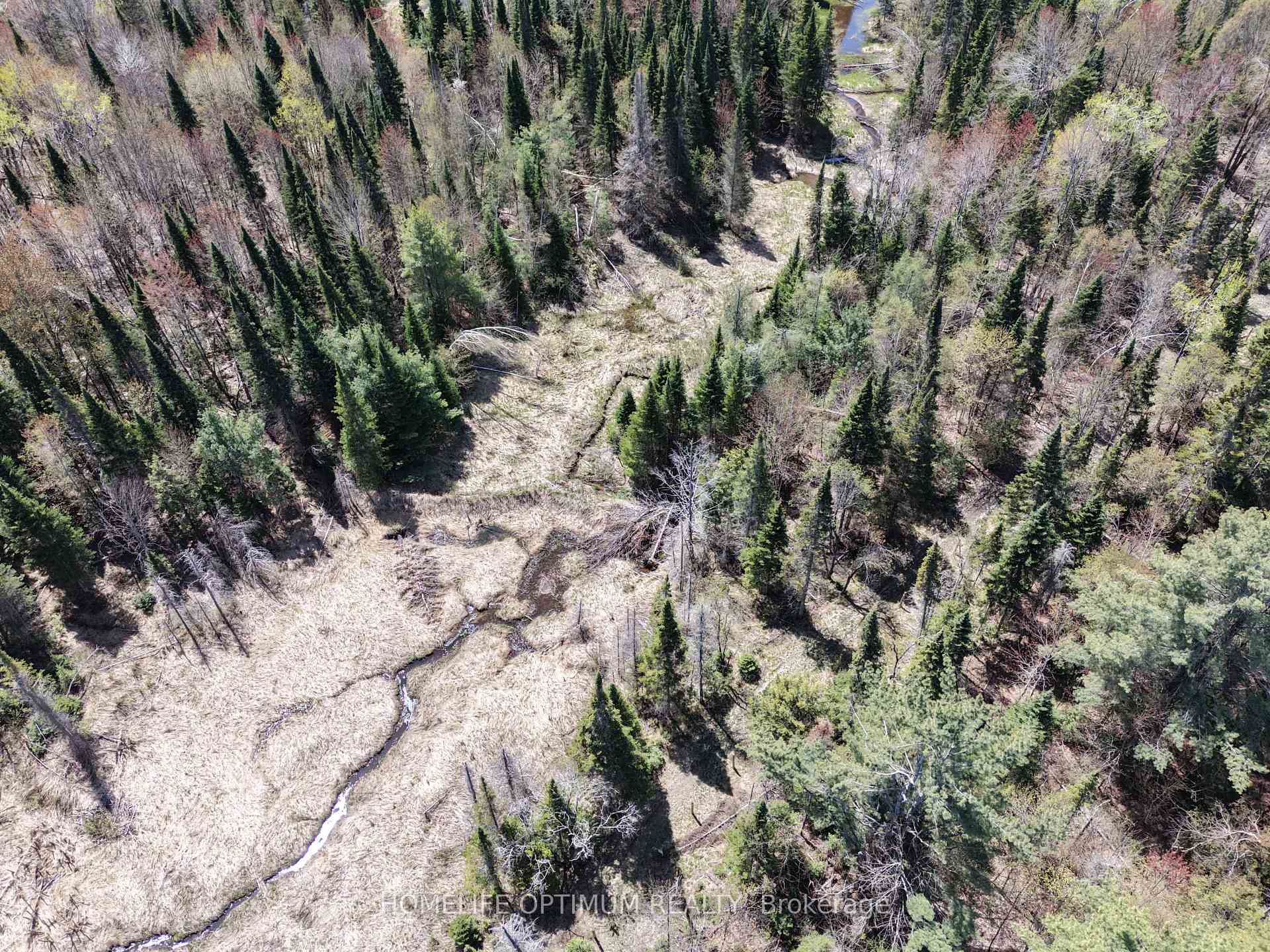 Photo 13 of PT LT 4-5 CON 13 Henry Road, Bracebridge, Muskoka (N) — HOMEH