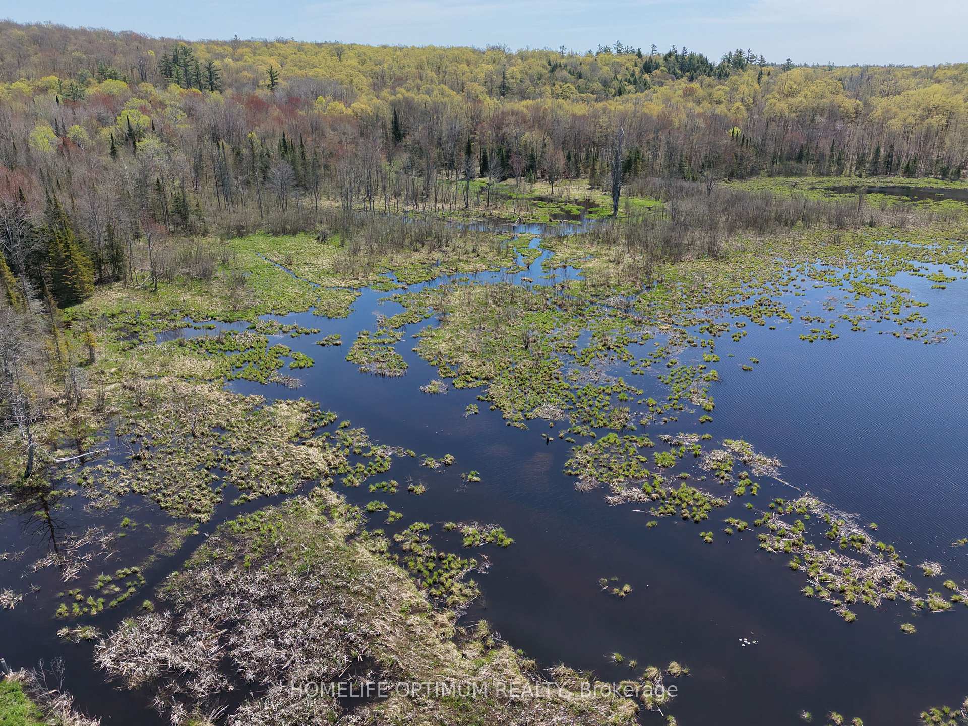 Photo 15 of PT LT 4-5 CON 13 Henry Road, Bracebridge, Muskoka (N) — HOMEH