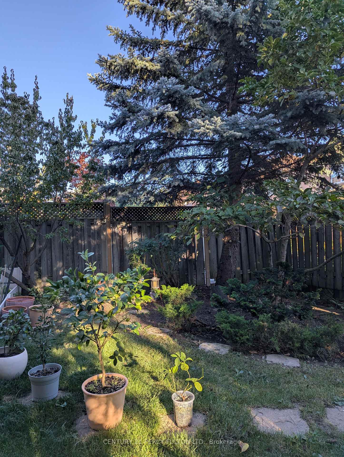 Photo 47 of 53 Elmrill Road, Markham, Berczy — HOMEH