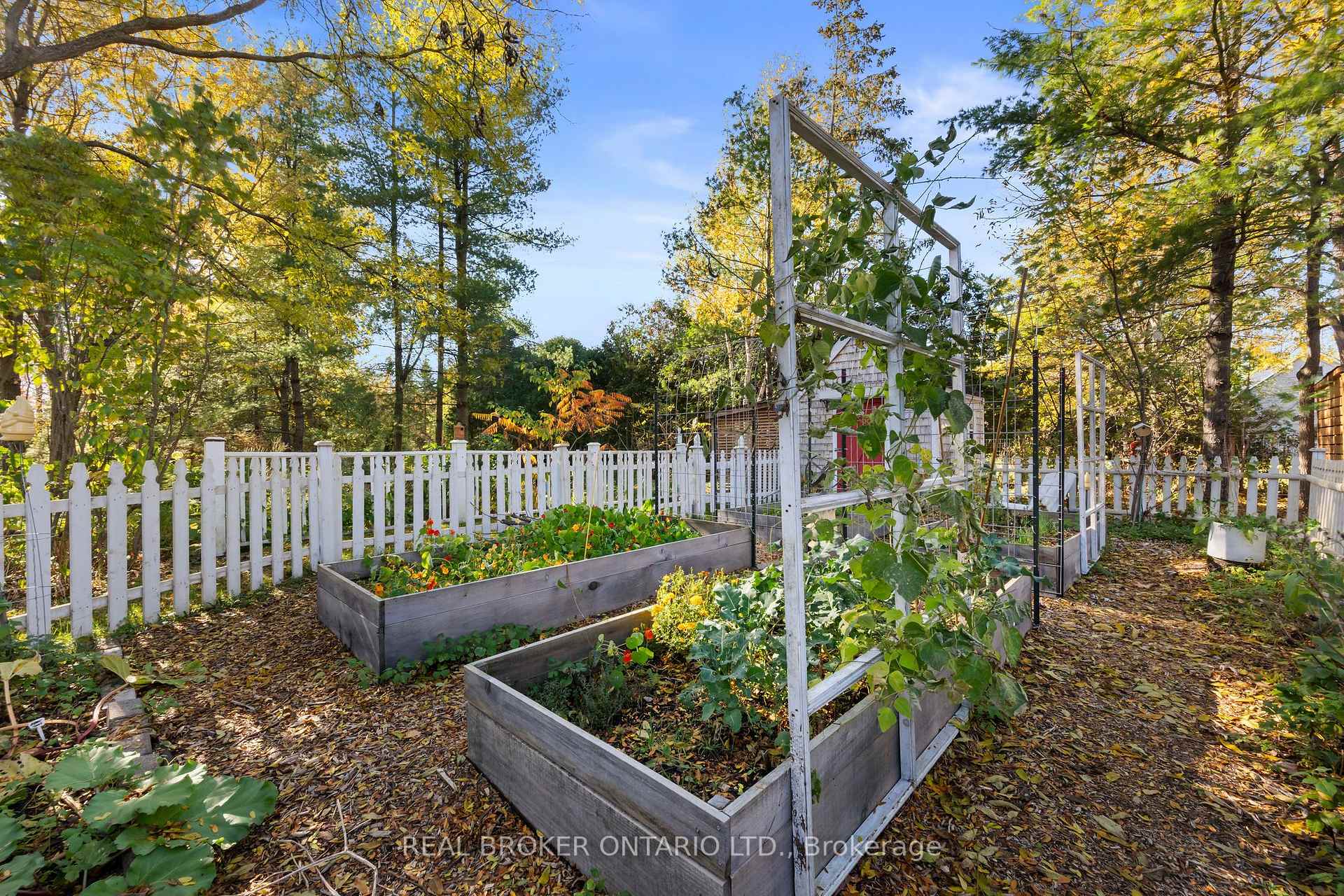 Photo 42 of 6 South Street, Edwardsburgh/Cardinal, Edwardsburgh/Cardinal Twp — HOMEH