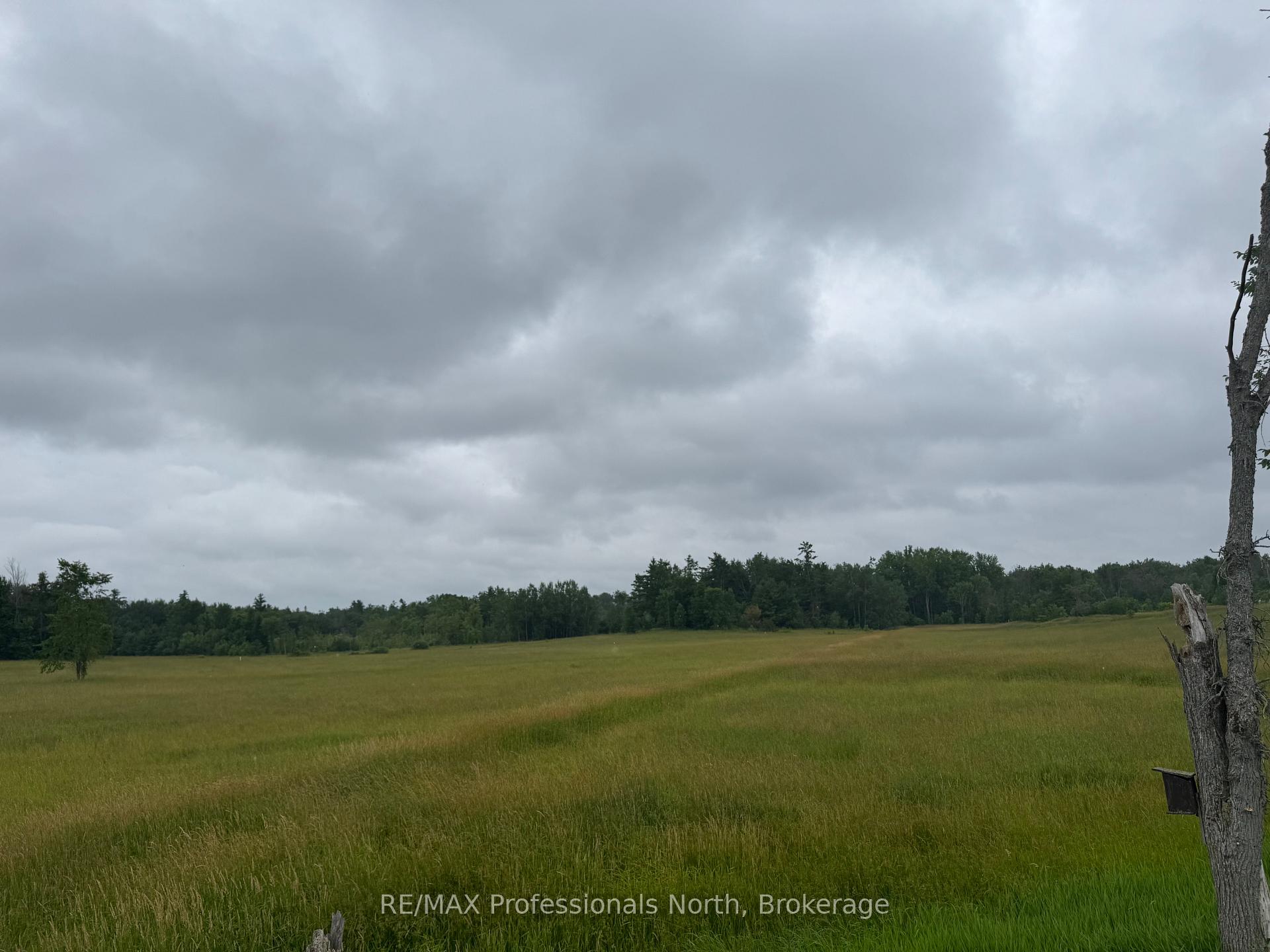 Photo 3 of 1509 Kilworthy Road, Gravenhurst, Morrison — HOMEH