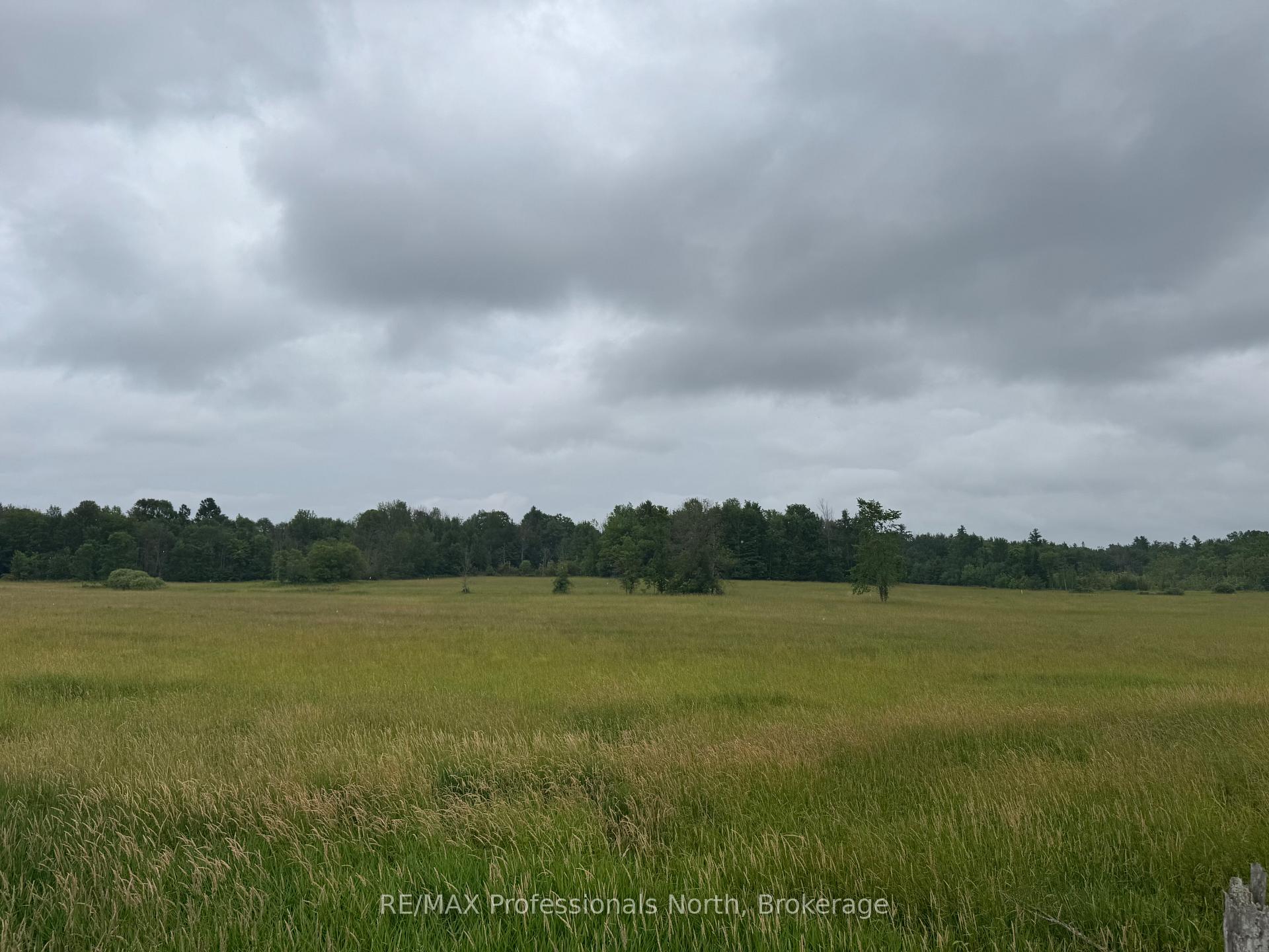 Photo 2 of 1509 Kilworthy Road, Gravenhurst, Morrison — HOMEH