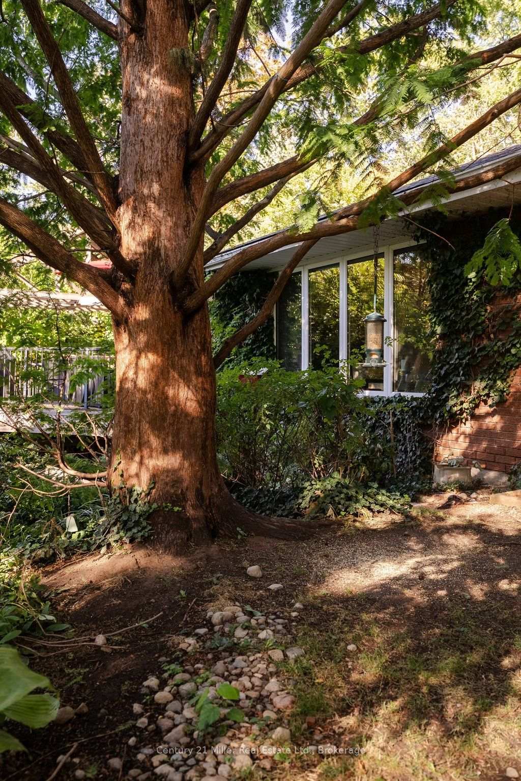 Photo 39 of 6 Rosebough Street, Hamilton, Greensville — HOMEH