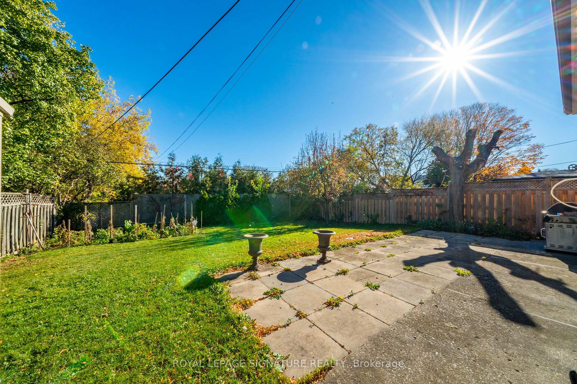 Photo 41 of 1377 Birchmount Road, Scarborough, Dorset Park — HOMEH