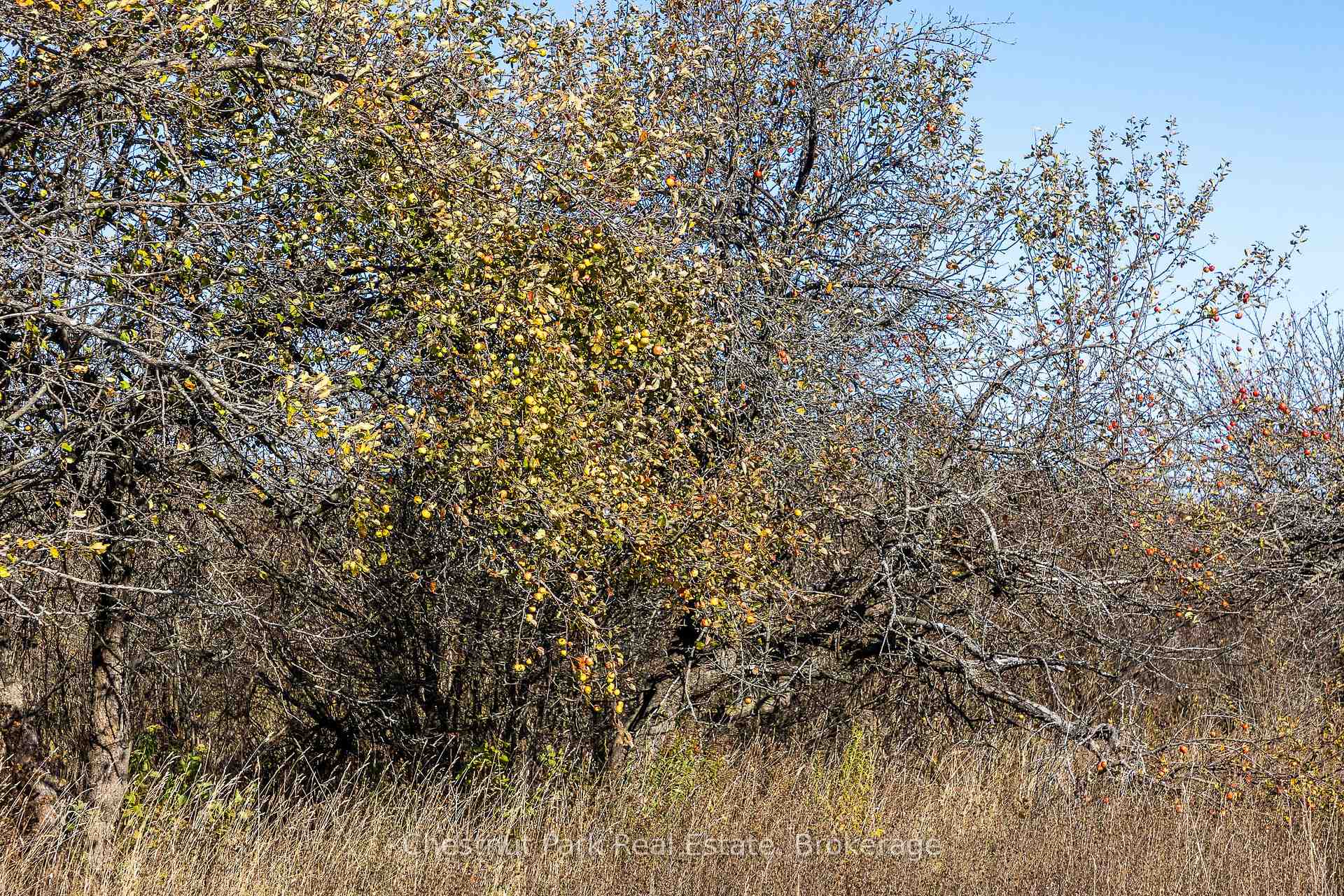 Photo 3 of 92 Crane Lake Road, Northern Bruce Peninsula — HOMEH