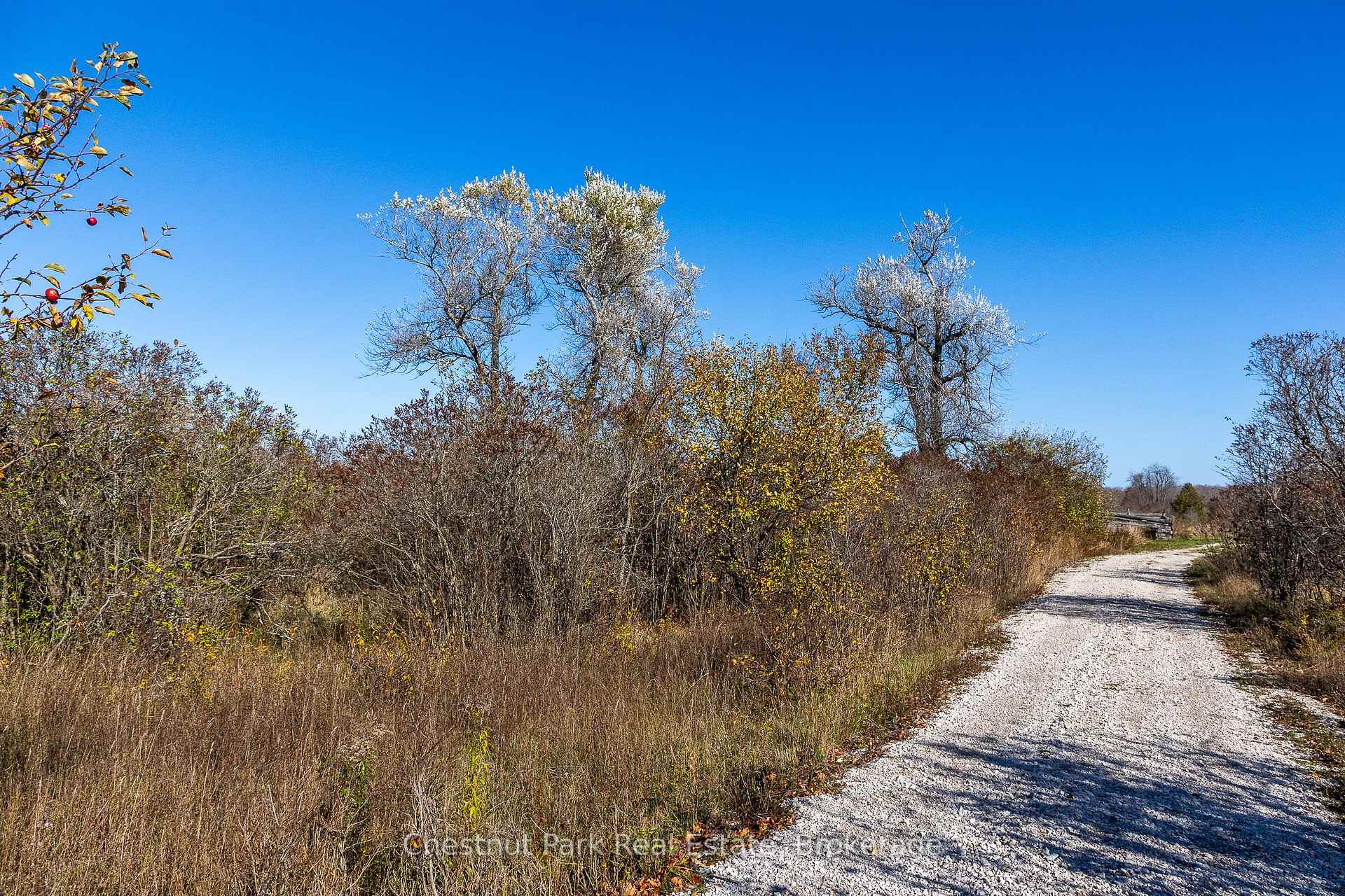 Photo 4 of 92 Crane Lake Road, Northern Bruce Peninsula — HOMEH