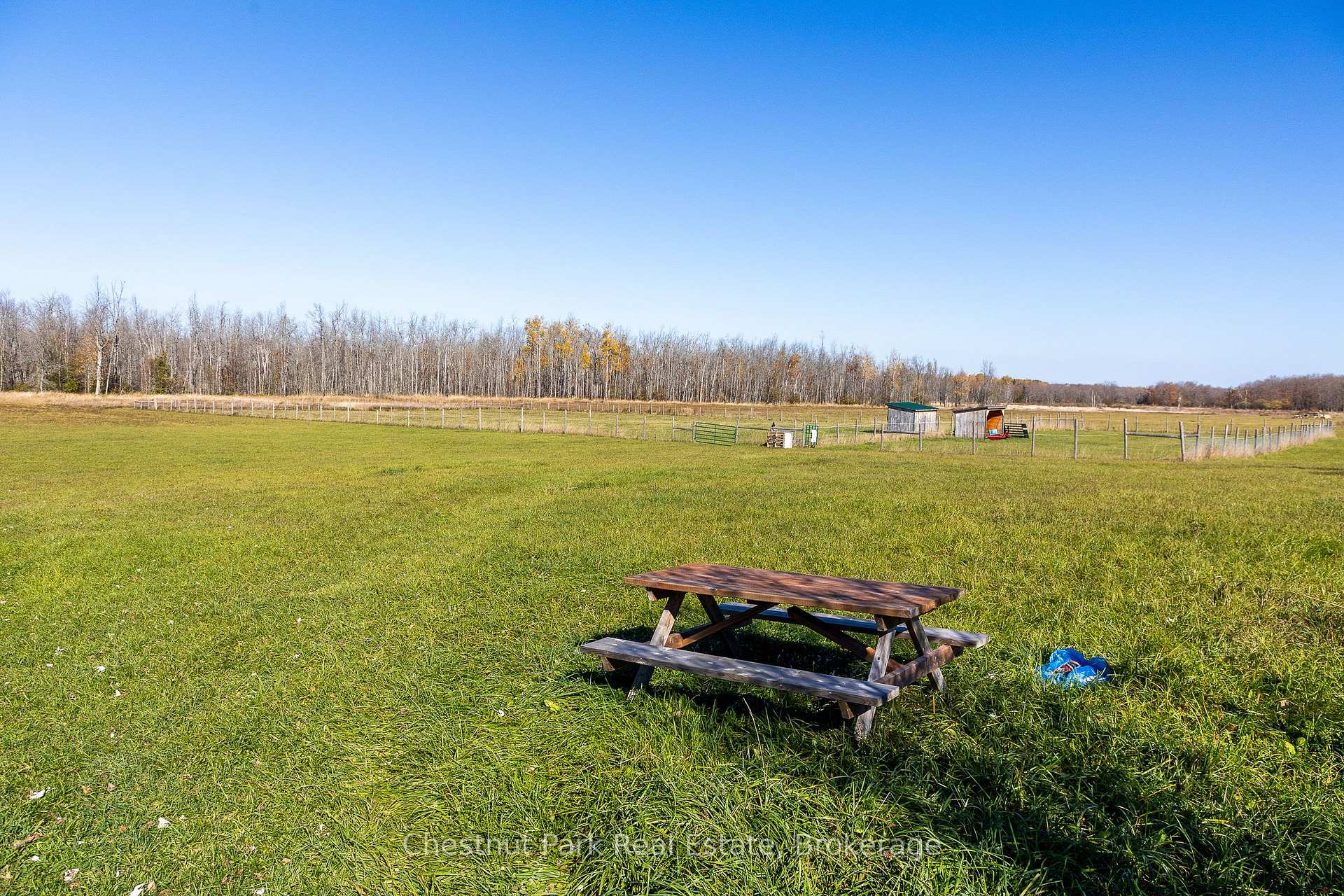Photo 8 of 92 Crane Lake Road, Northern Bruce Peninsula — HOMEH