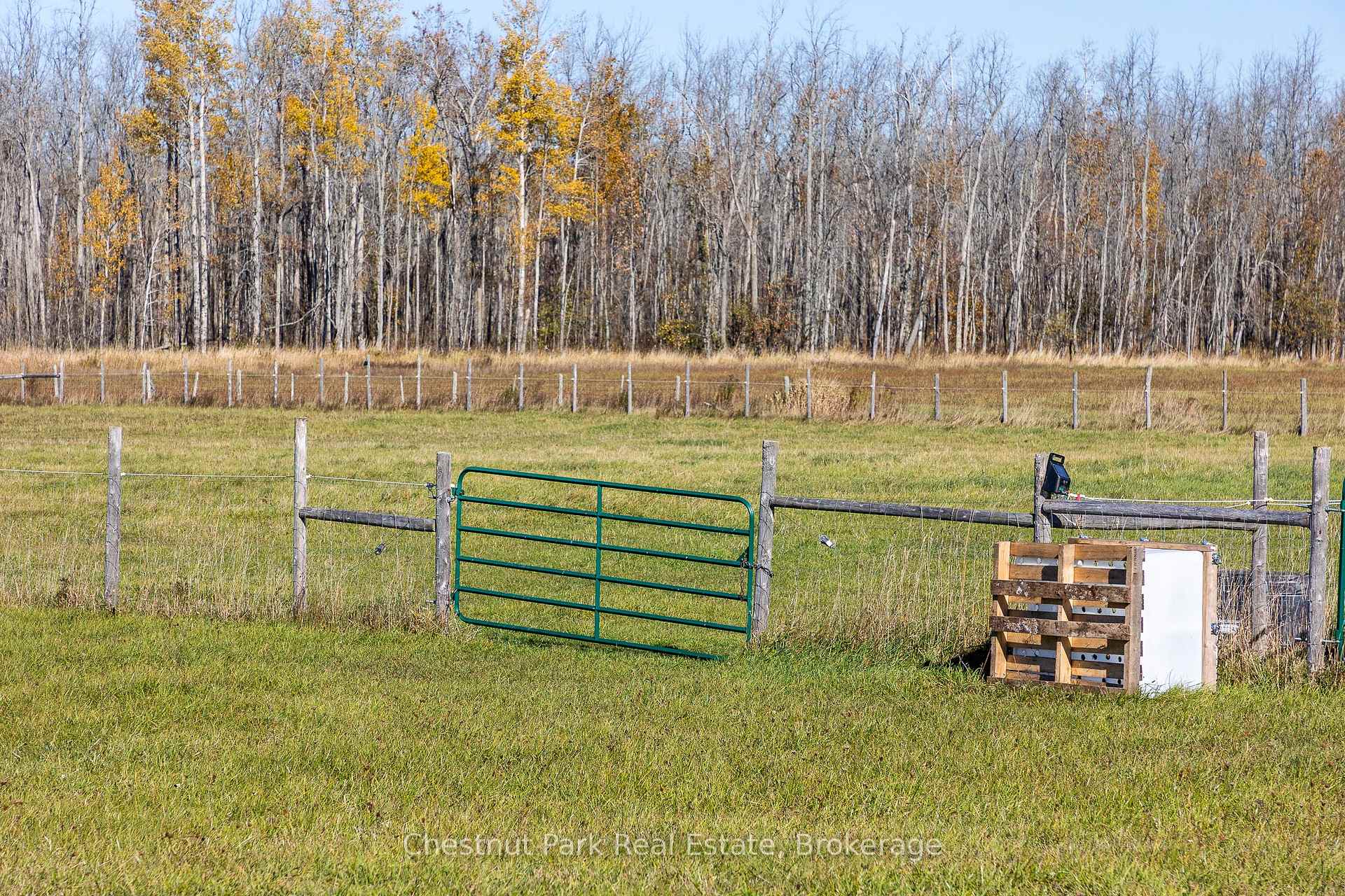 Photo 9 of 92 Crane Lake Road, Northern Bruce Peninsula — HOMEH