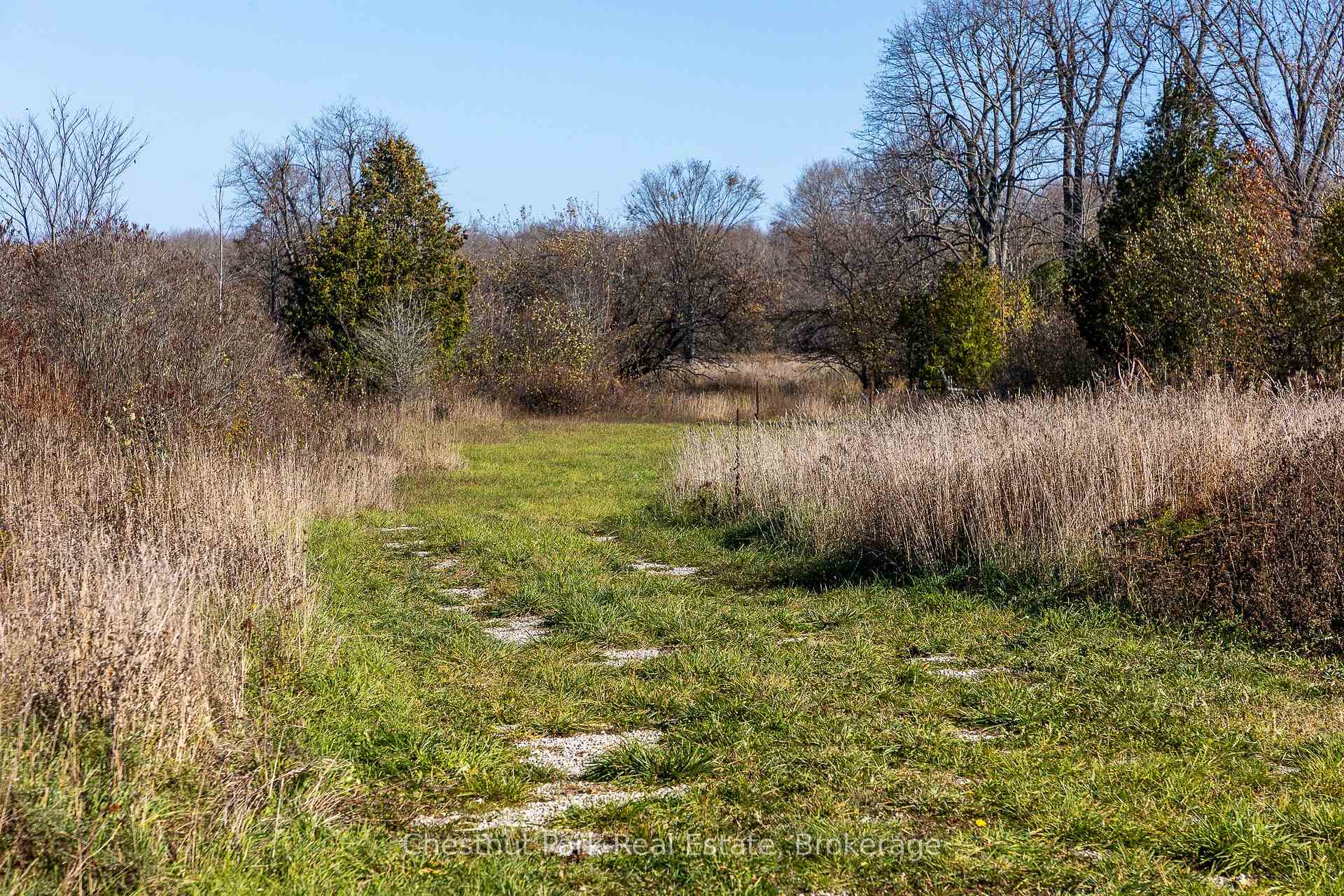 Photo 12 of 92 Crane Lake Road, Northern Bruce Peninsula — HOMEH