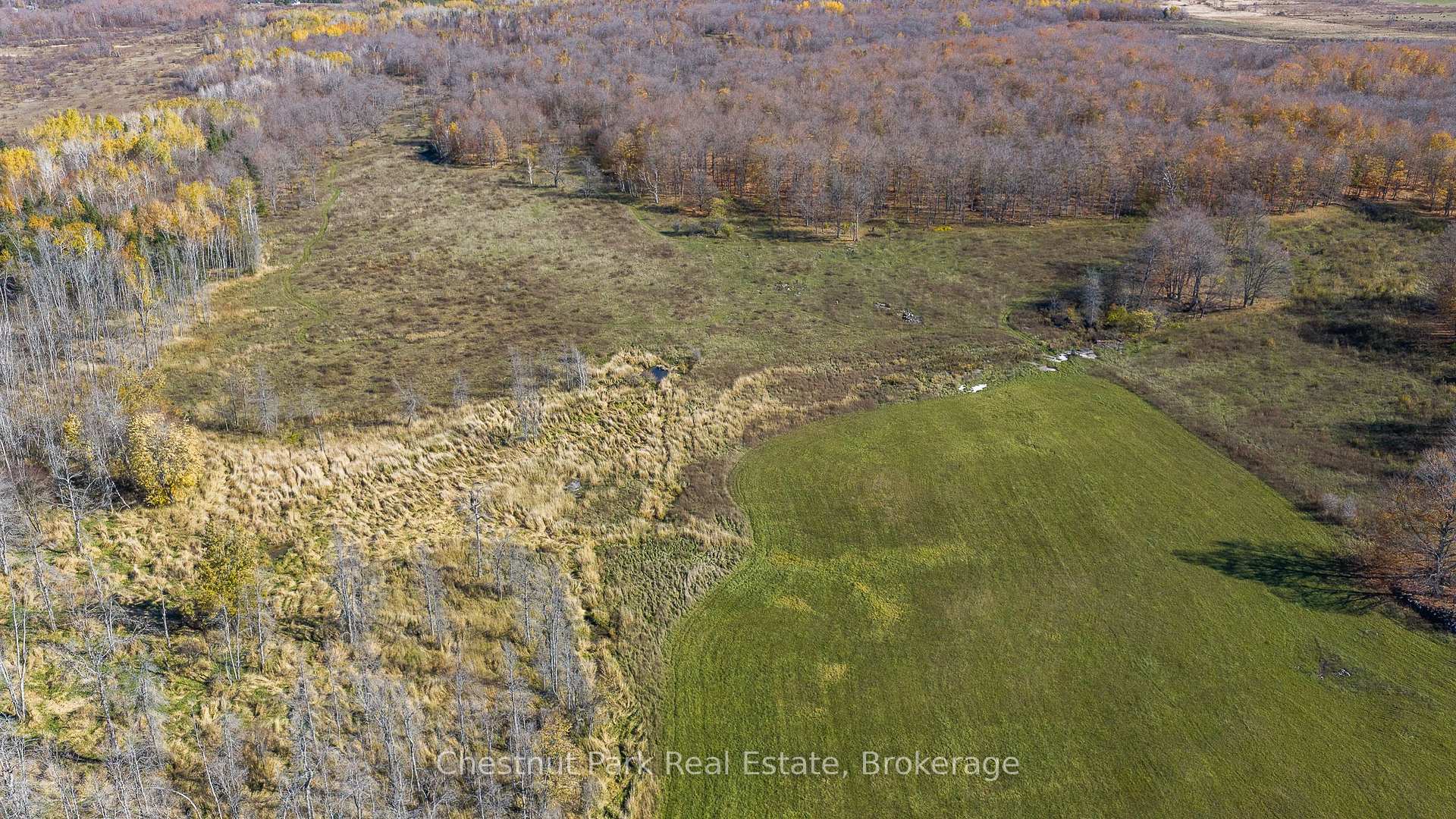 Photo 19 of 92 Crane Lake Road, Northern Bruce Peninsula — HOMEH