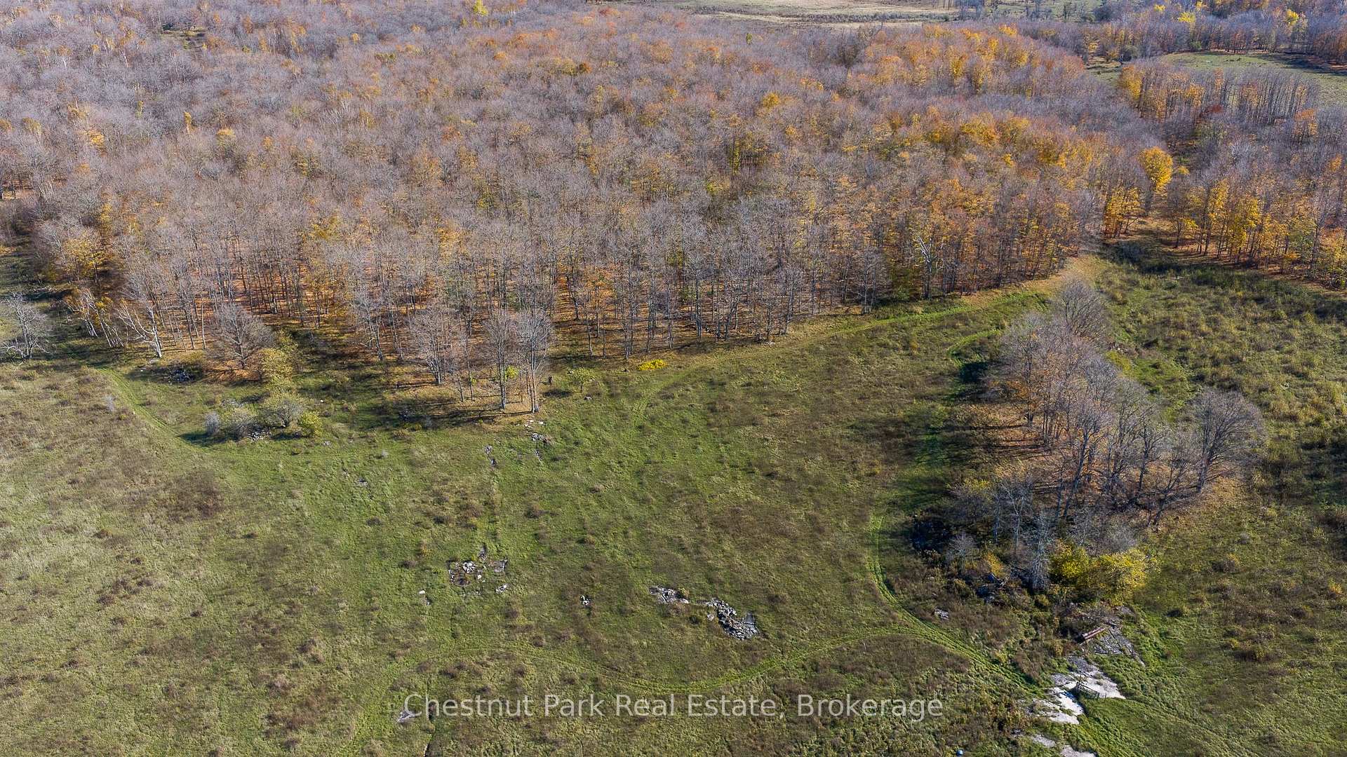 Photo 21 of 92 Crane Lake Road, Northern Bruce Peninsula — HOMEH