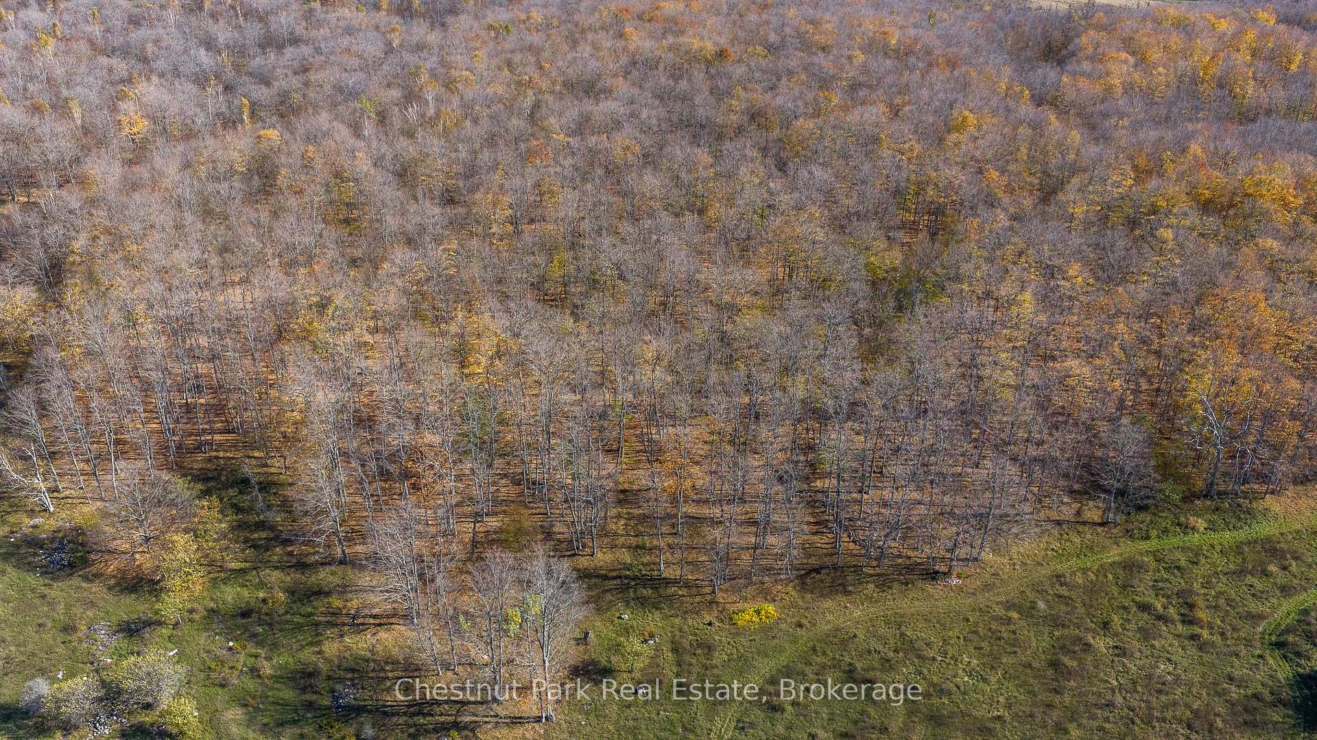 Photo 22 of 92 Crane Lake Road, Northern Bruce Peninsula — HOMEH