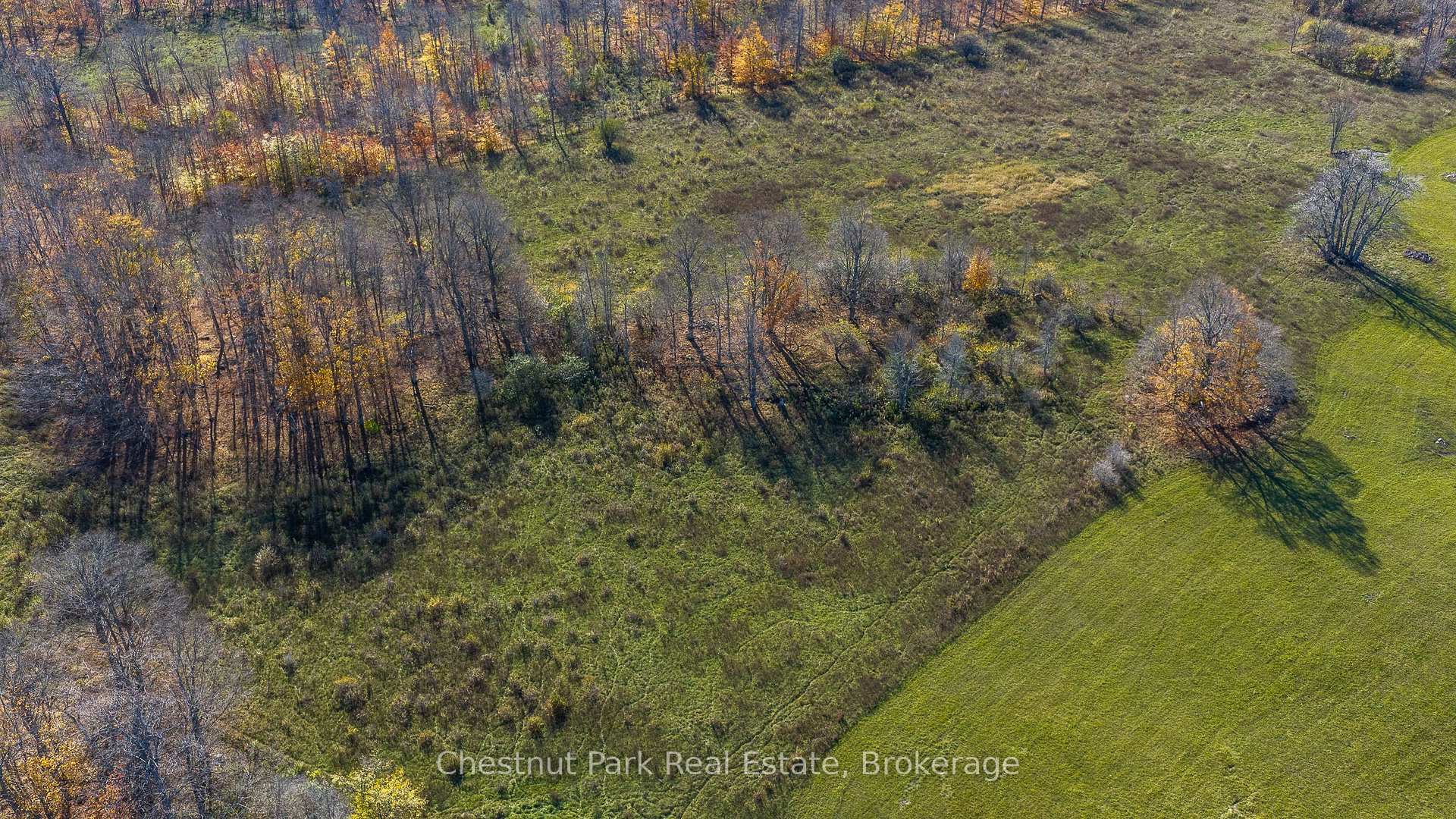 Photo 24 of 92 Crane Lake Road, Northern Bruce Peninsula — HOMEH