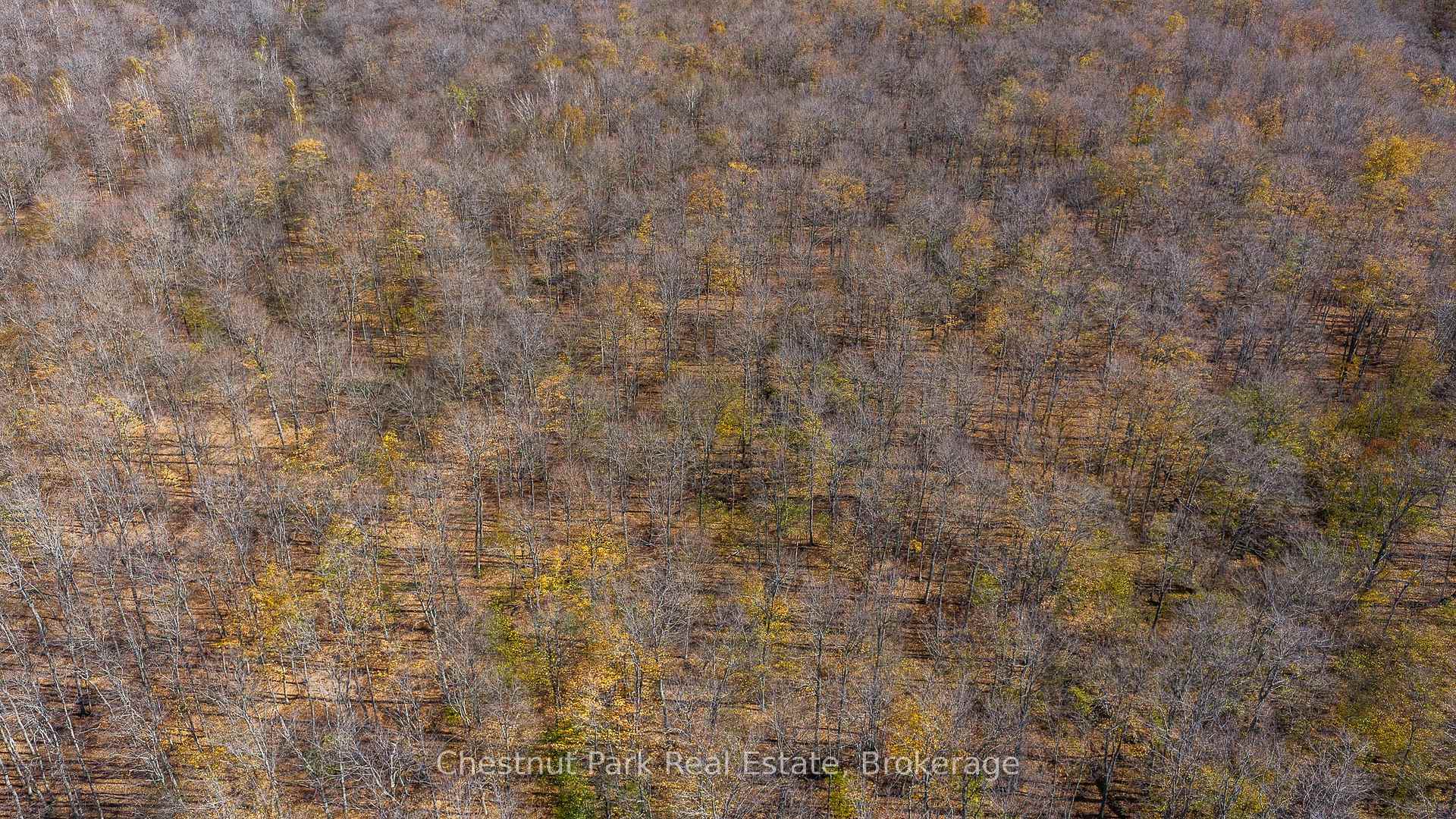 Photo 25 of 92 Crane Lake Road, Northern Bruce Peninsula — HOMEH