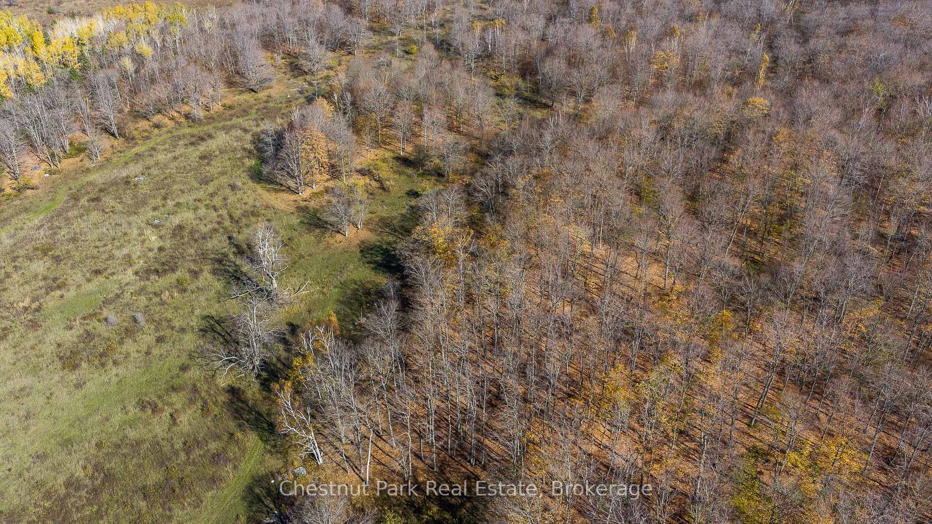 Photo 26 of 92 Crane Lake Road, Northern Bruce Peninsula — HOMEH