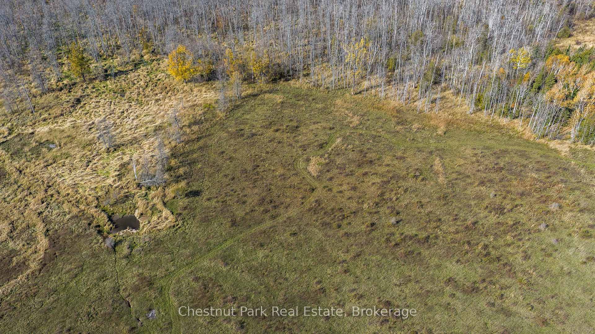 Photo 28 of 92 Crane Lake Road, Northern Bruce Peninsula — HOMEH