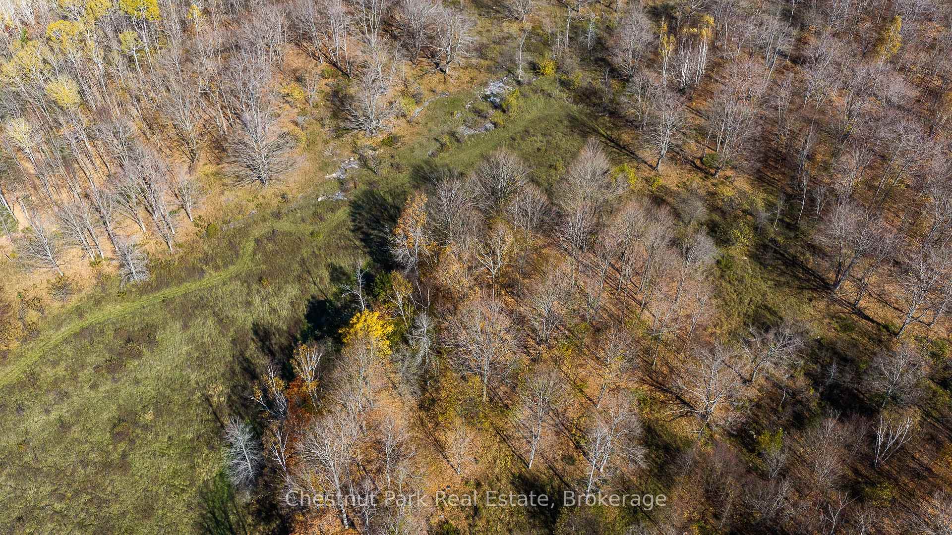 Photo 30 of 92 Crane Lake Road, Northern Bruce Peninsula — HOMEH