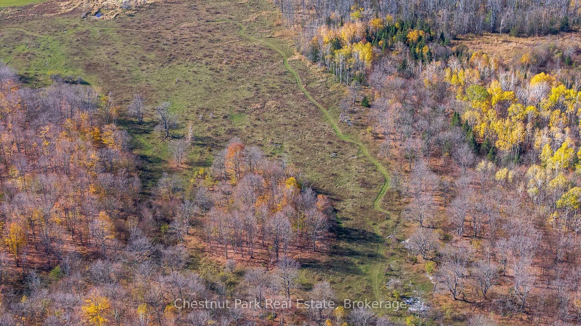 Photo 34 of 92 Crane Lake Road, Northern Bruce Peninsula — HOMEH