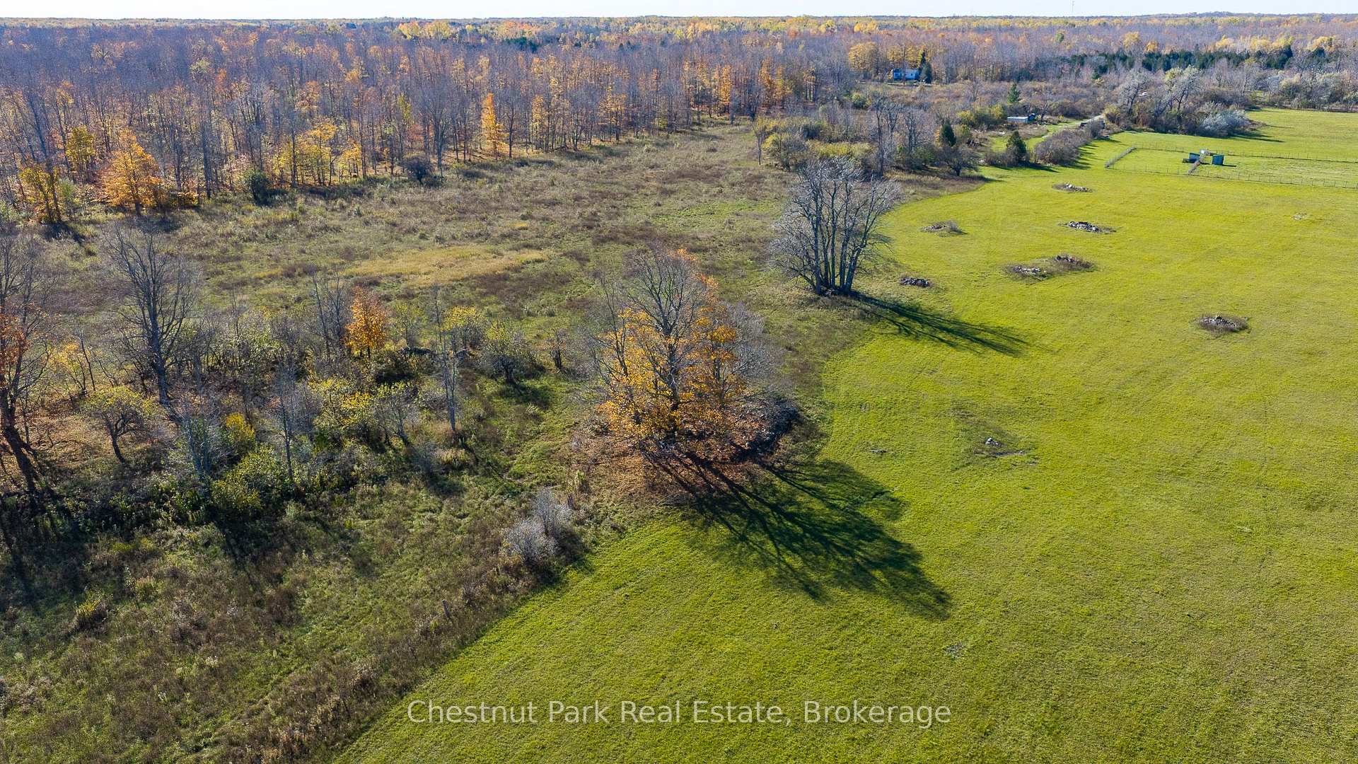 Photo 38 of 92 Crane Lake Road, Northern Bruce Peninsula — HOMEH