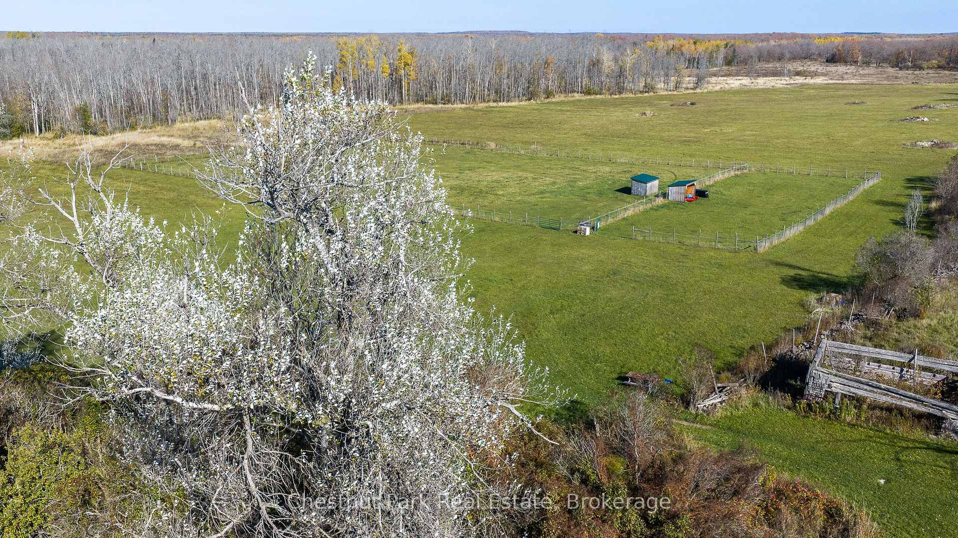 Photo 48 of 92 Crane Lake Road, Northern Bruce Peninsula — HOMEH