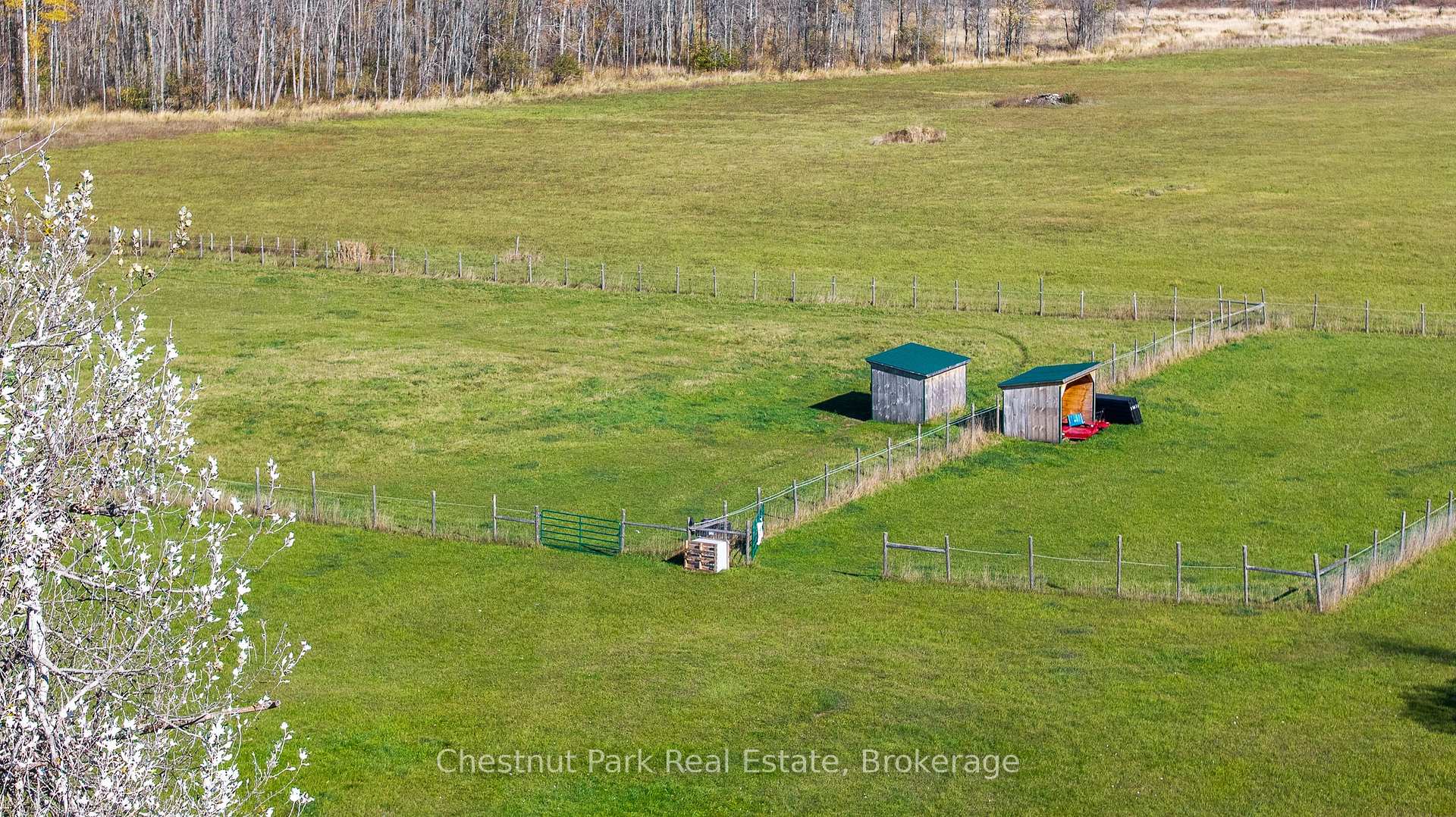 Photo 49 of 92 Crane Lake Road, Northern Bruce Peninsula — HOMEH