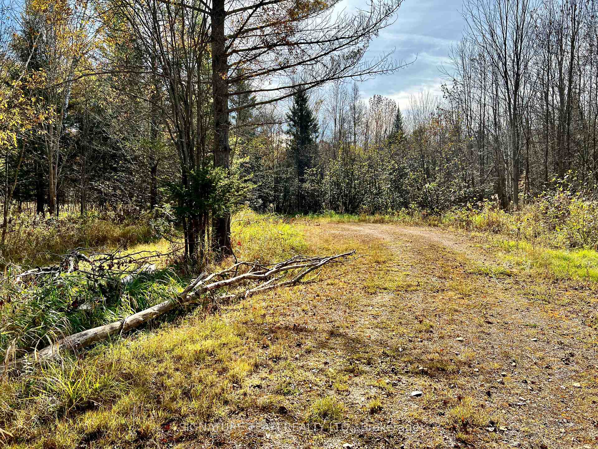 Photo 23 of 1 Carty Road, North Algona Wilberforce — HOMEH