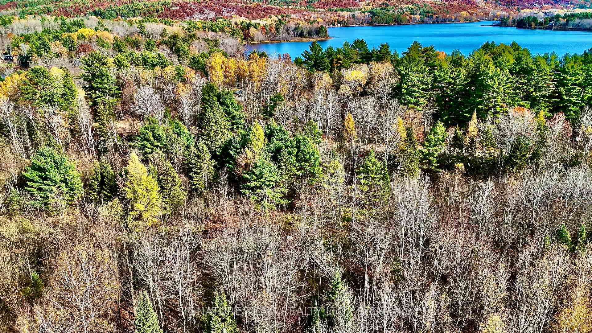Photo 28 of 1 Carty Road, North Algona Wilberforce — HOMEH