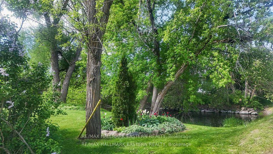 Photo 9 of 267 Centre Line, Asphodel-Norwood, Rural Asphodel-Norwood — HOMEH