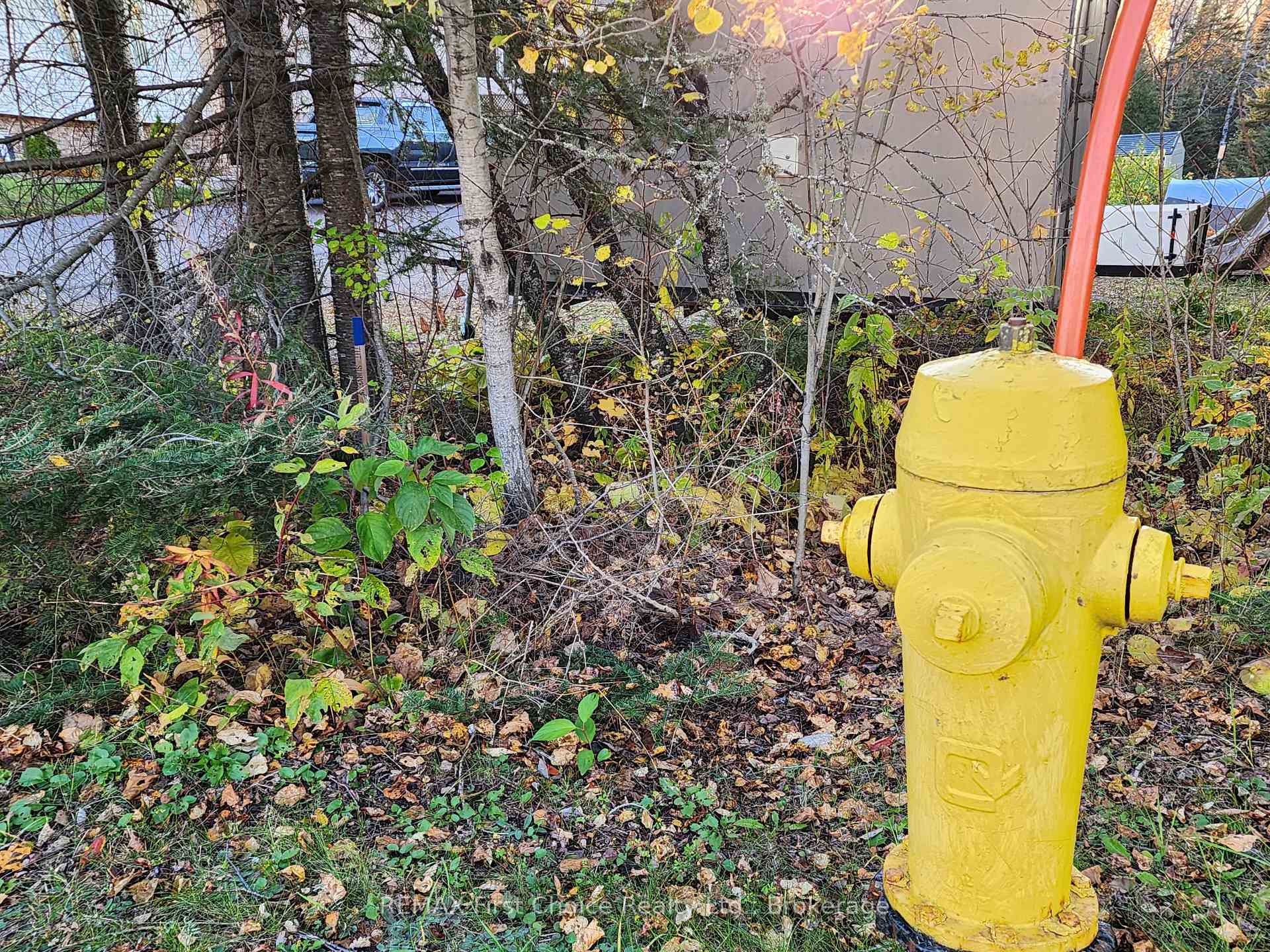 Photo 3 of 837 Hodder Avenue, Thunder Bay, Current River — HOMEH